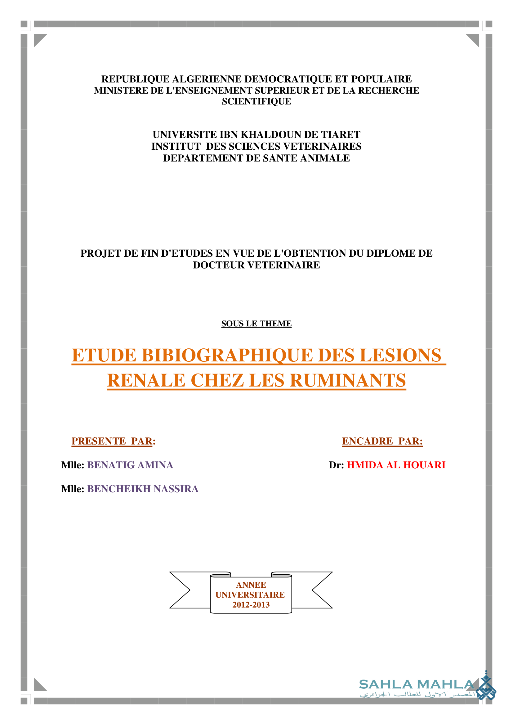 ETUDE BIBIOGRAPHIQUE DES LESIONS RENALE CHEZ LES RUMINANTS