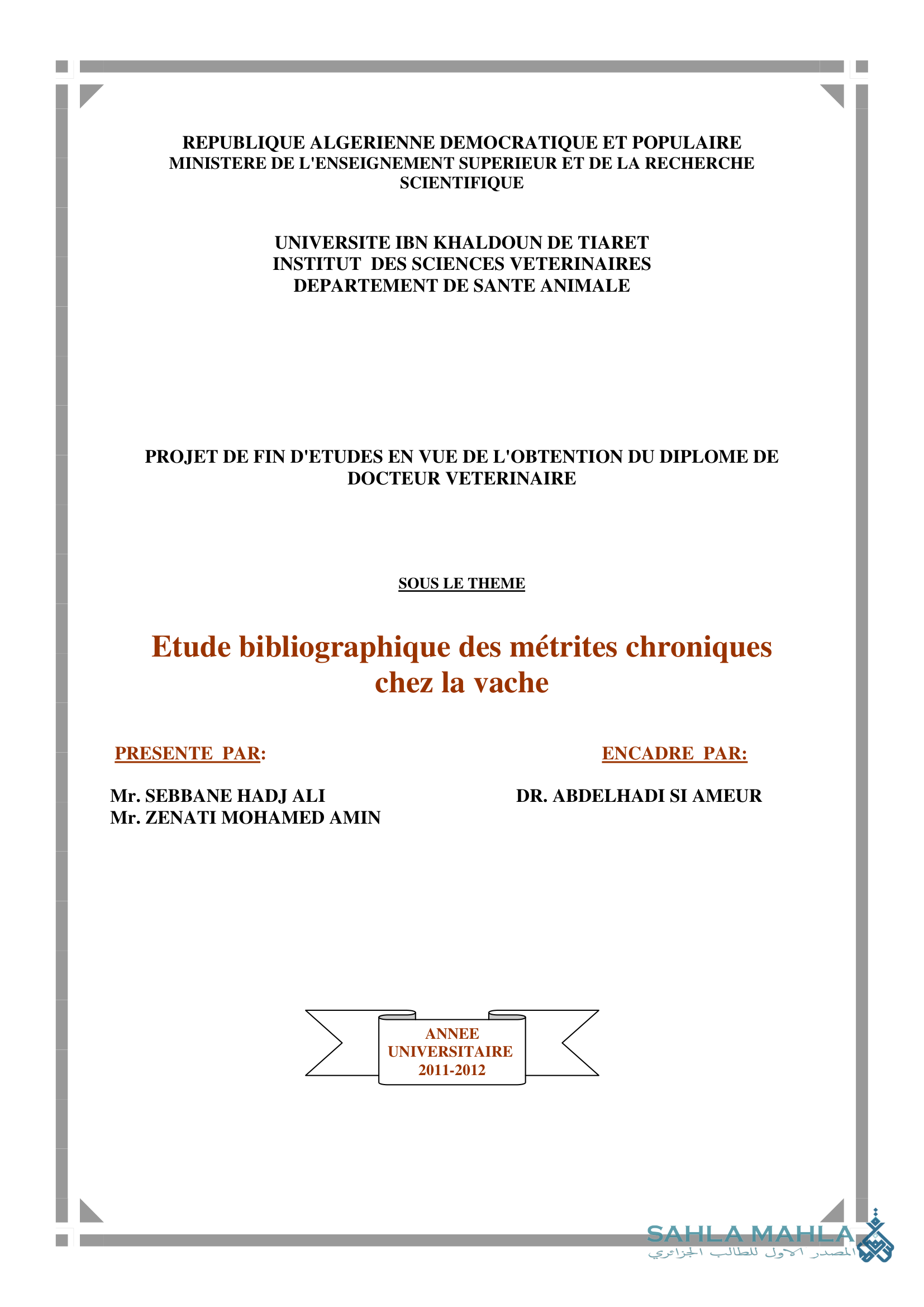 Etude bibliographique des métrites chroniques chez la vache