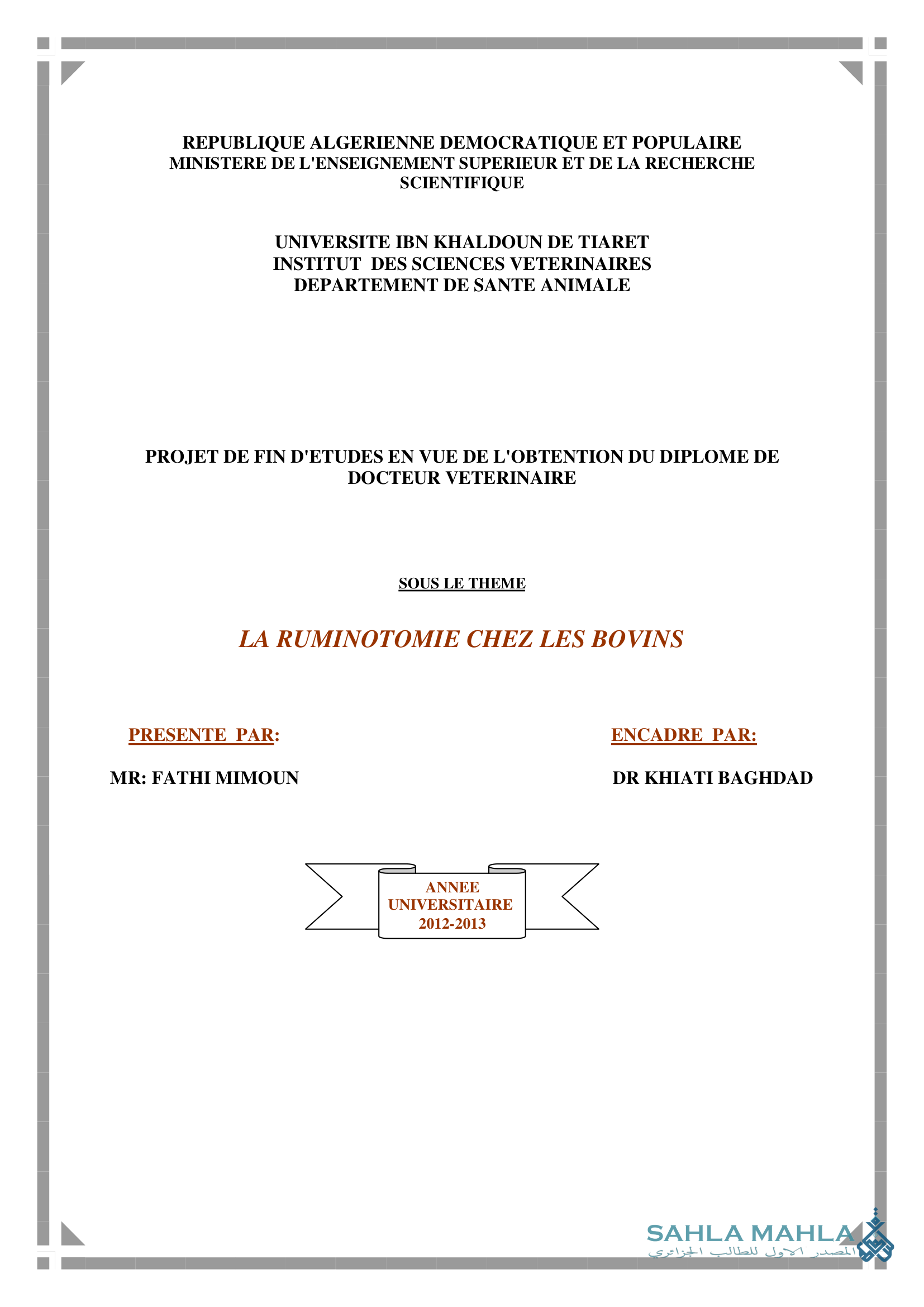 LA RUMINOTOMIE CHEZ LES  BOVINS