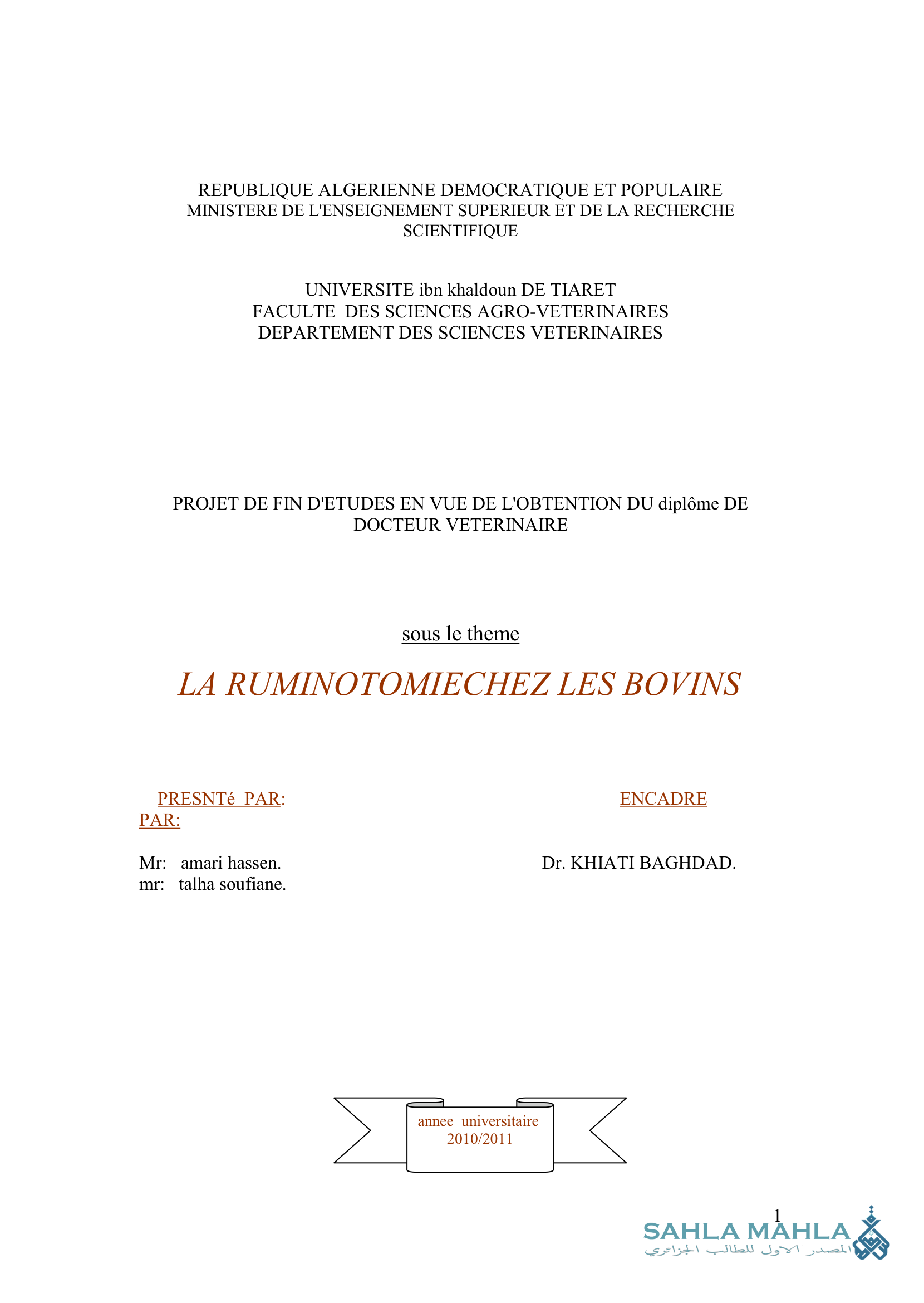 LA RUMINOTOMIECHEZ LES BOVINS