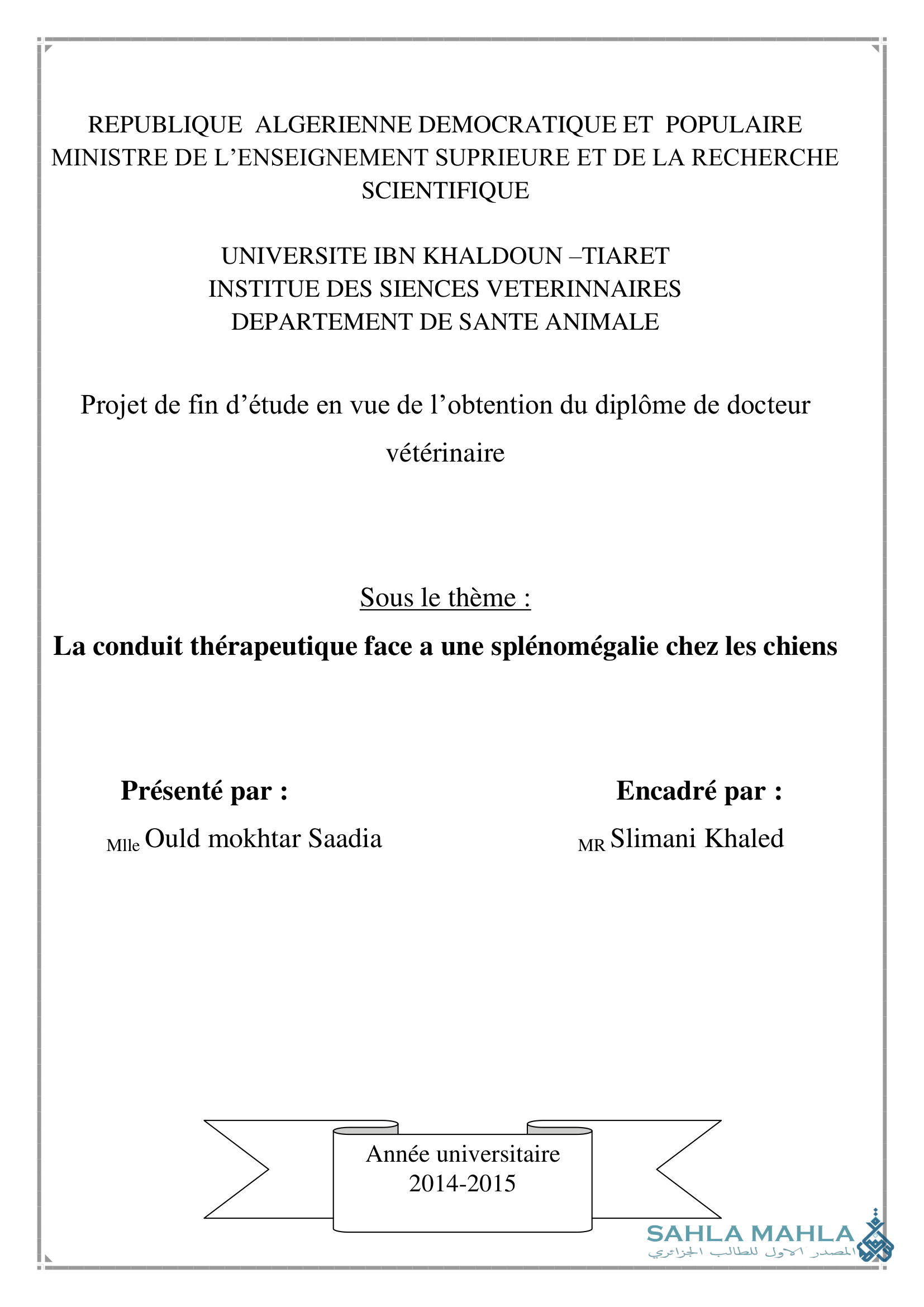 La conduit thérapeutique face a une splénomégalie chez les chiens