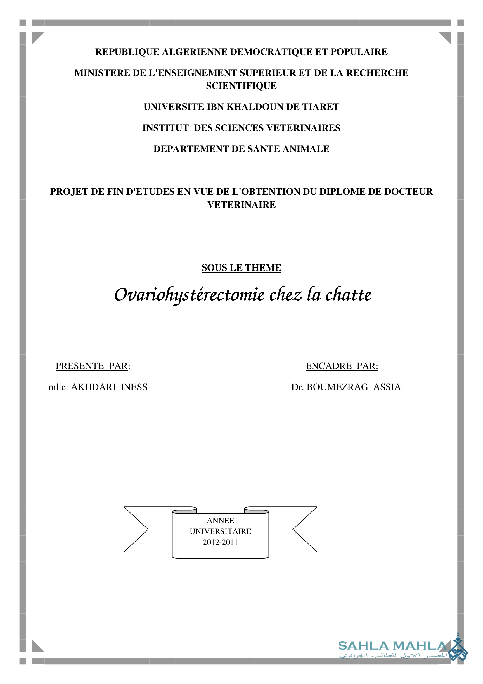 Ovariohysterectomie chez la chatte