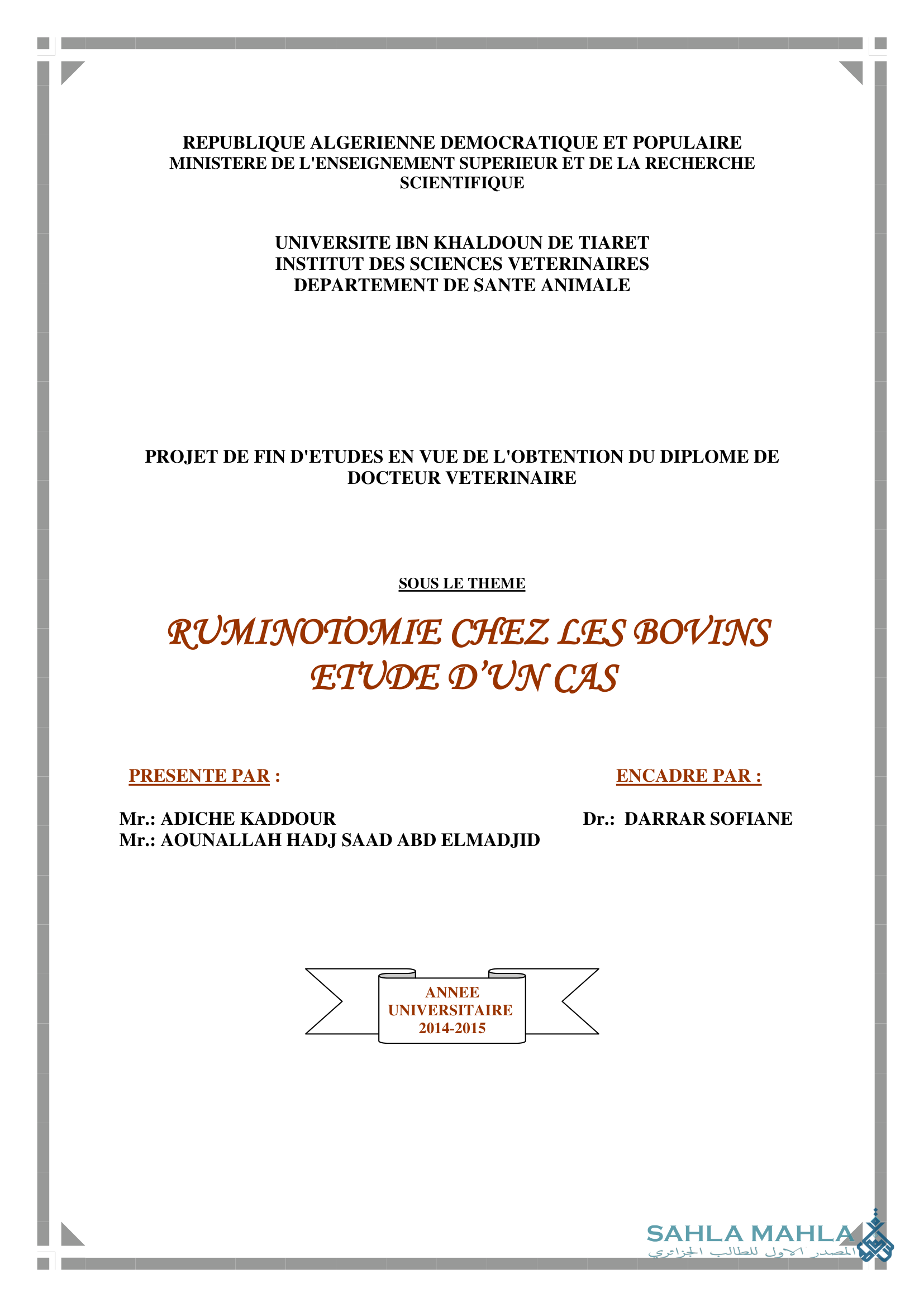 RUMINOTOMIE CHEZ LES BOVINS ETUDE D'UN CAS