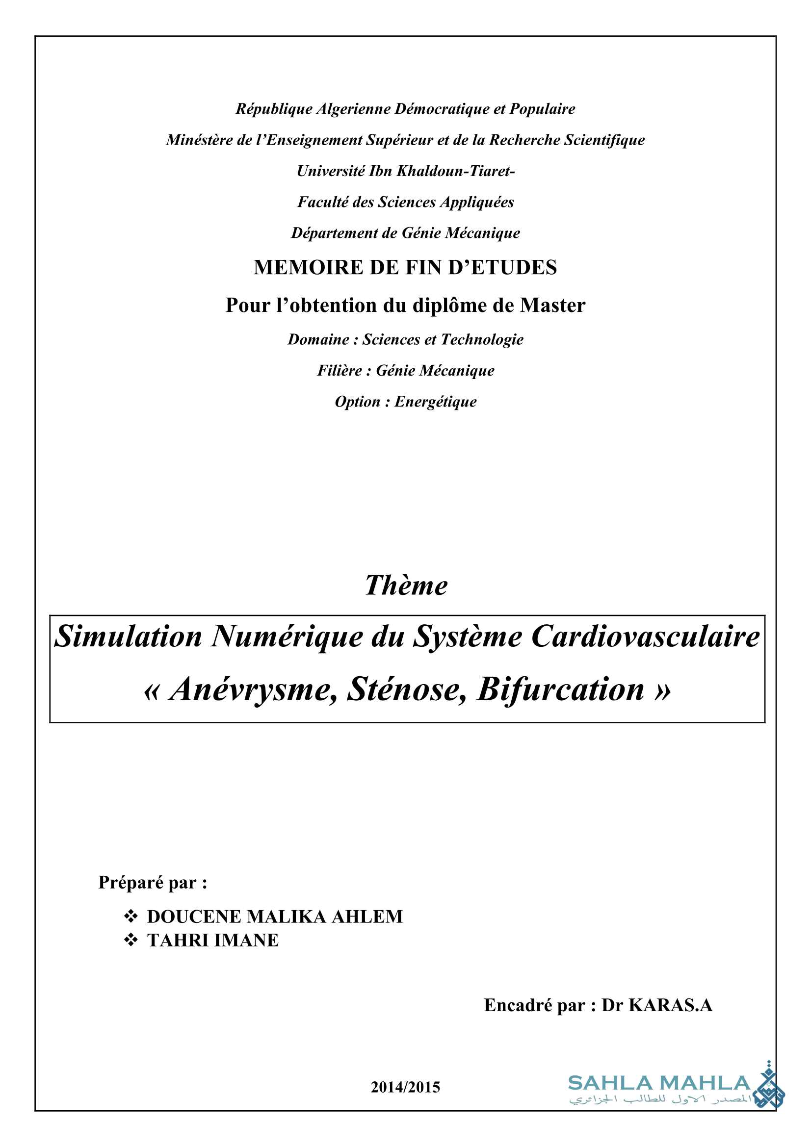 Simulation Numérique du Système Cardiovasculaire « Anévrysme, Sténose, Bifurcation »