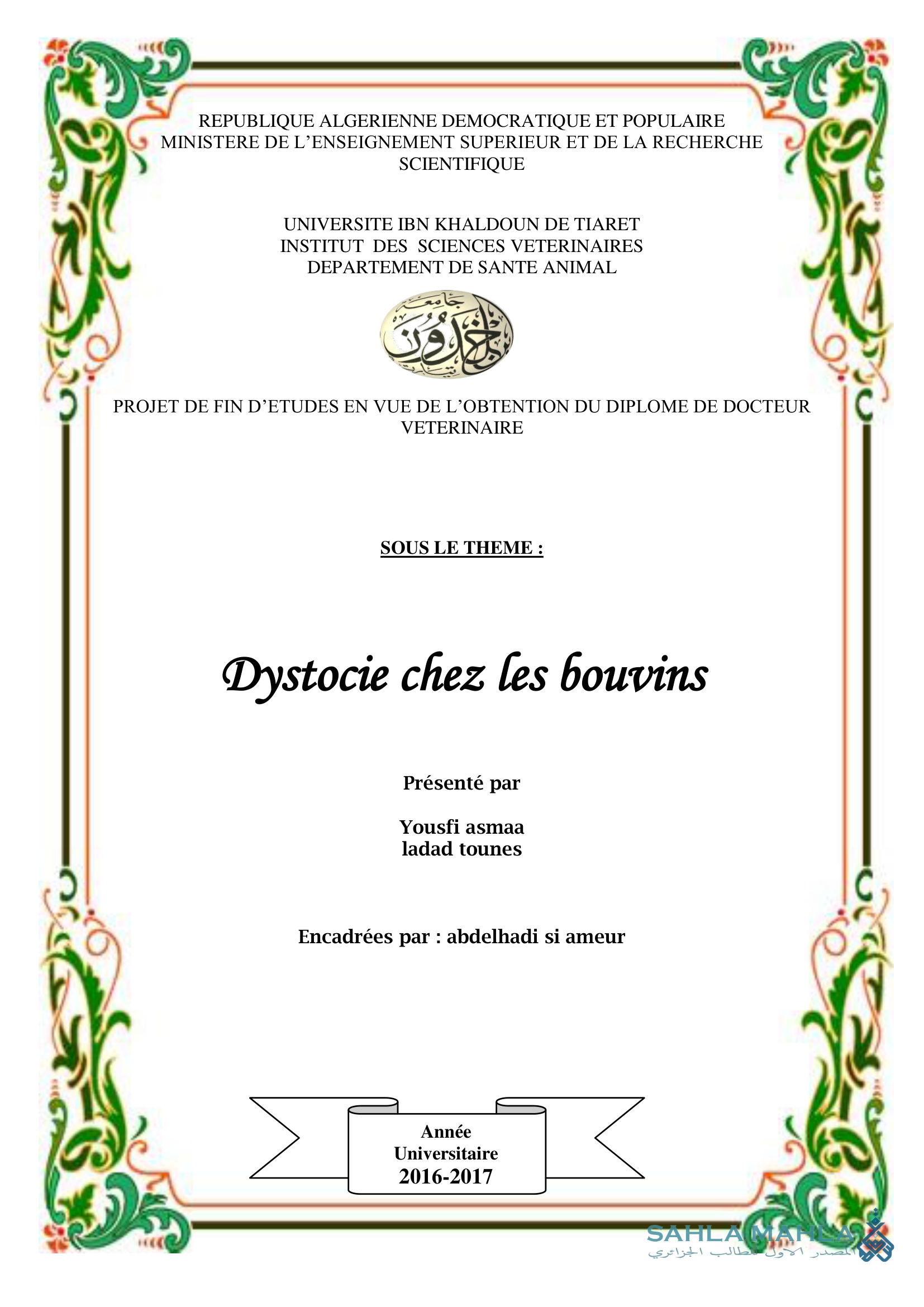 Dystocie chez les bouvins