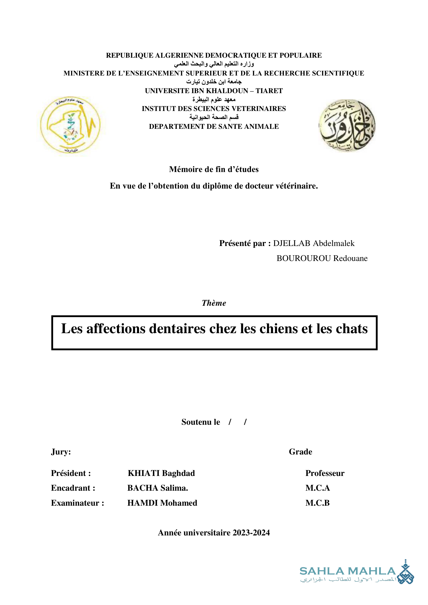 Les affections dentaires chez les chiens et les chats