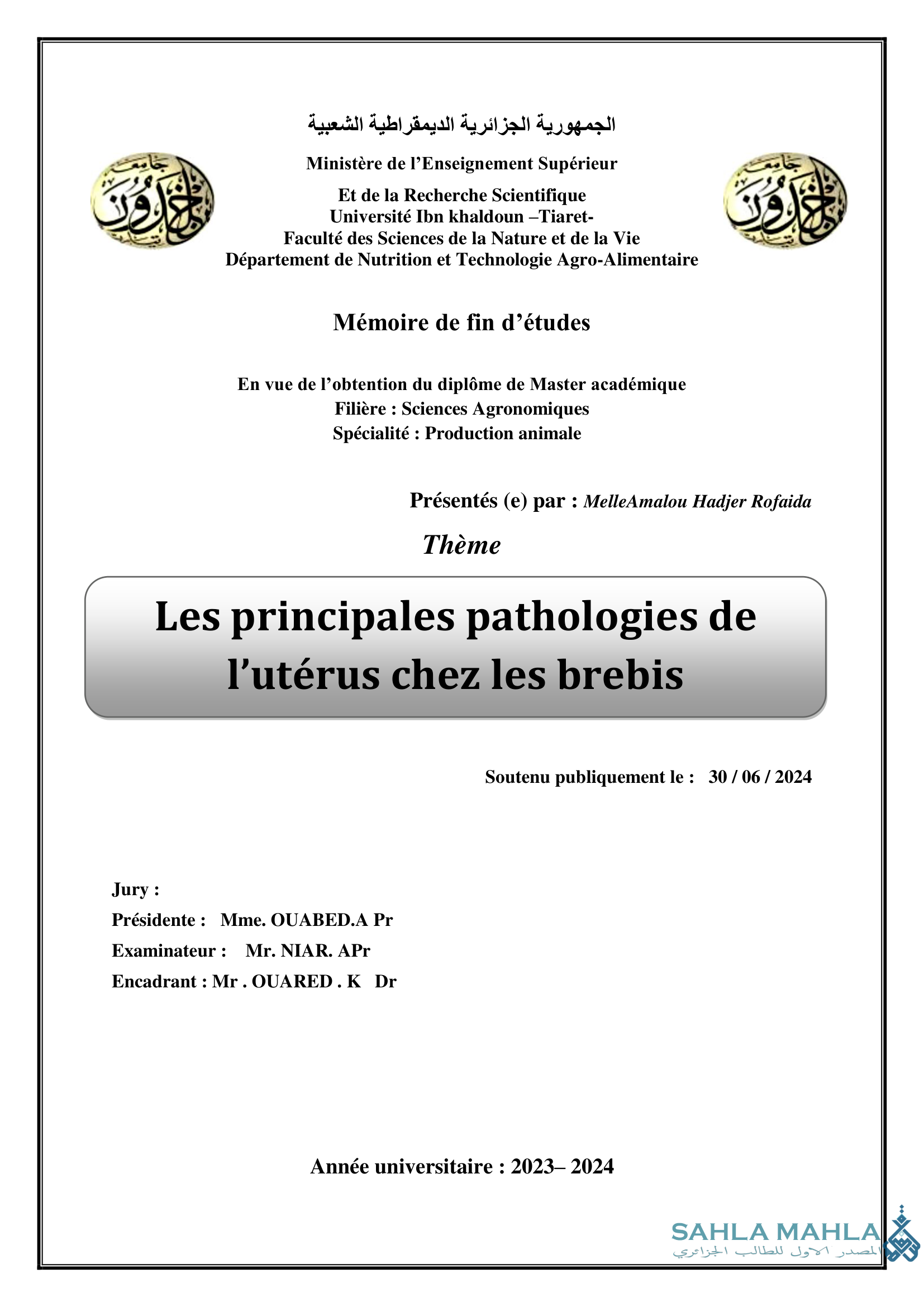 Les principales pathologies de l'utérus chez les brebis