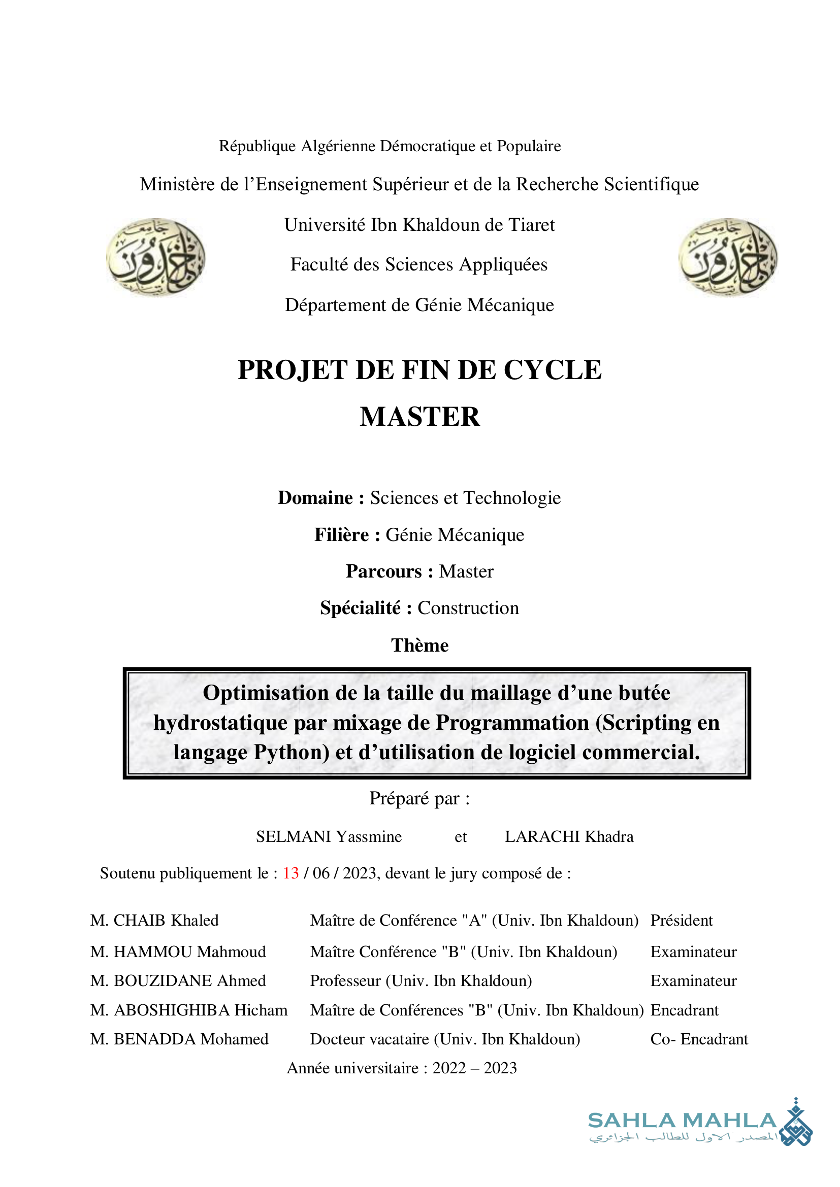 Optimisation de la taille du maillage d'une butée hydrostatique par mixage de Programmation (Scripting en langage Python) et d'utilisation de logiciel commercial.
