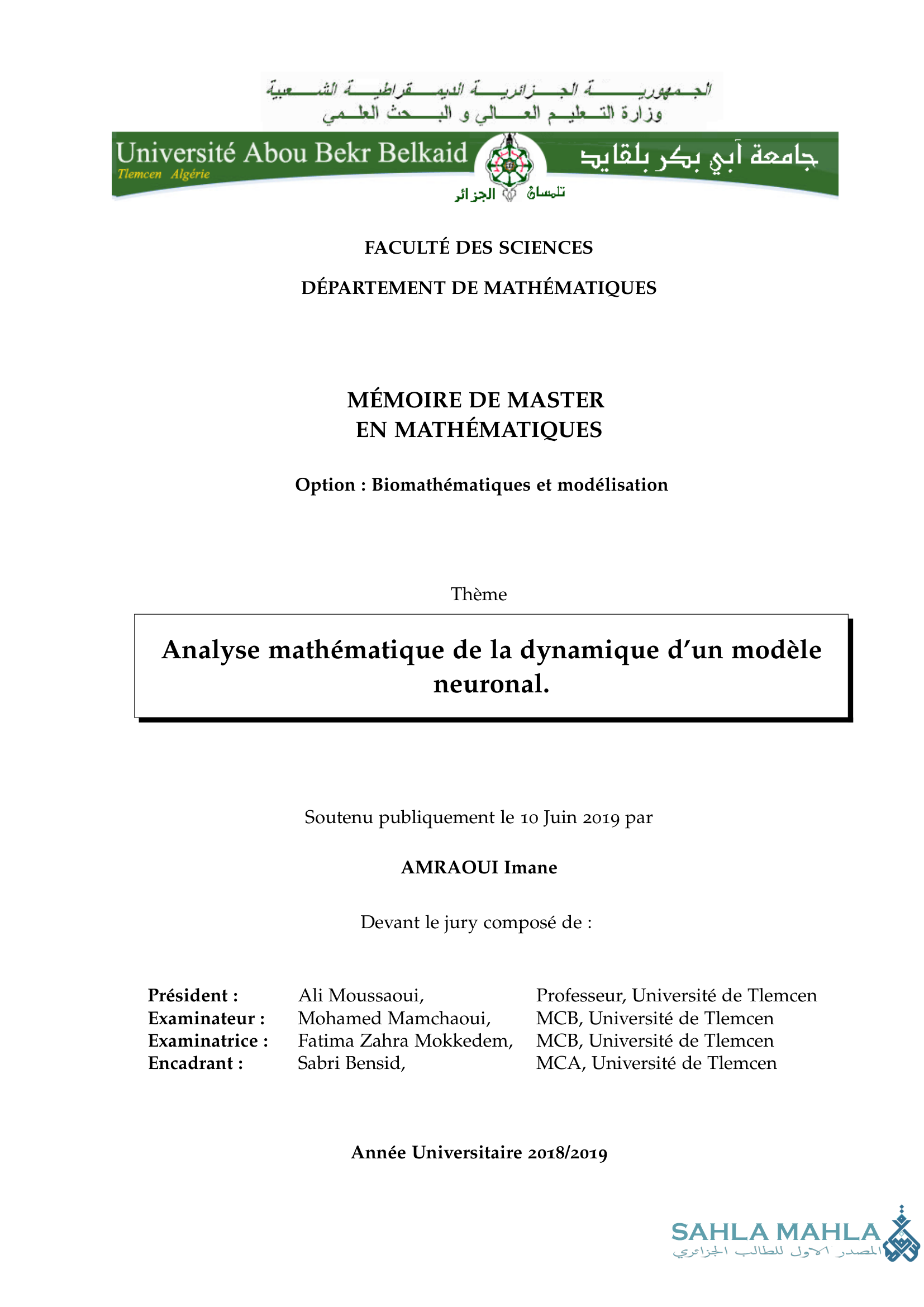 Analyse mathématique de la dynamique d'un modèle neuronal.