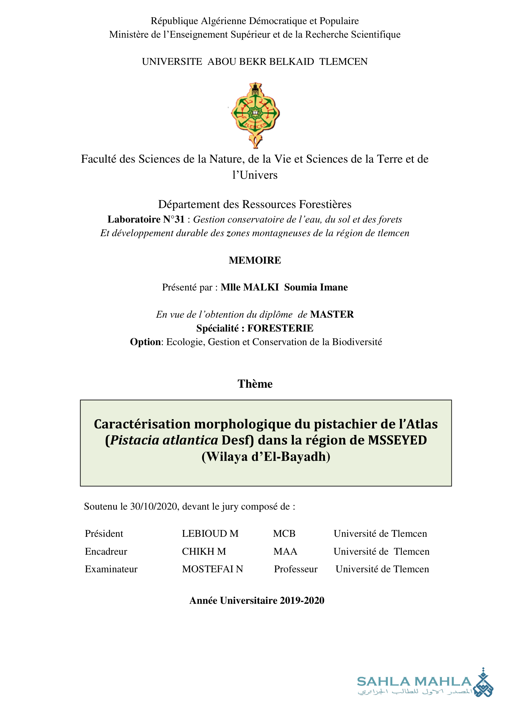 Caractérisation morphologique du pistachier de l'Atlas (Pistacia atlantica Desf) dans la région de MSSEYED (Wilaya d'El-Bayadh)