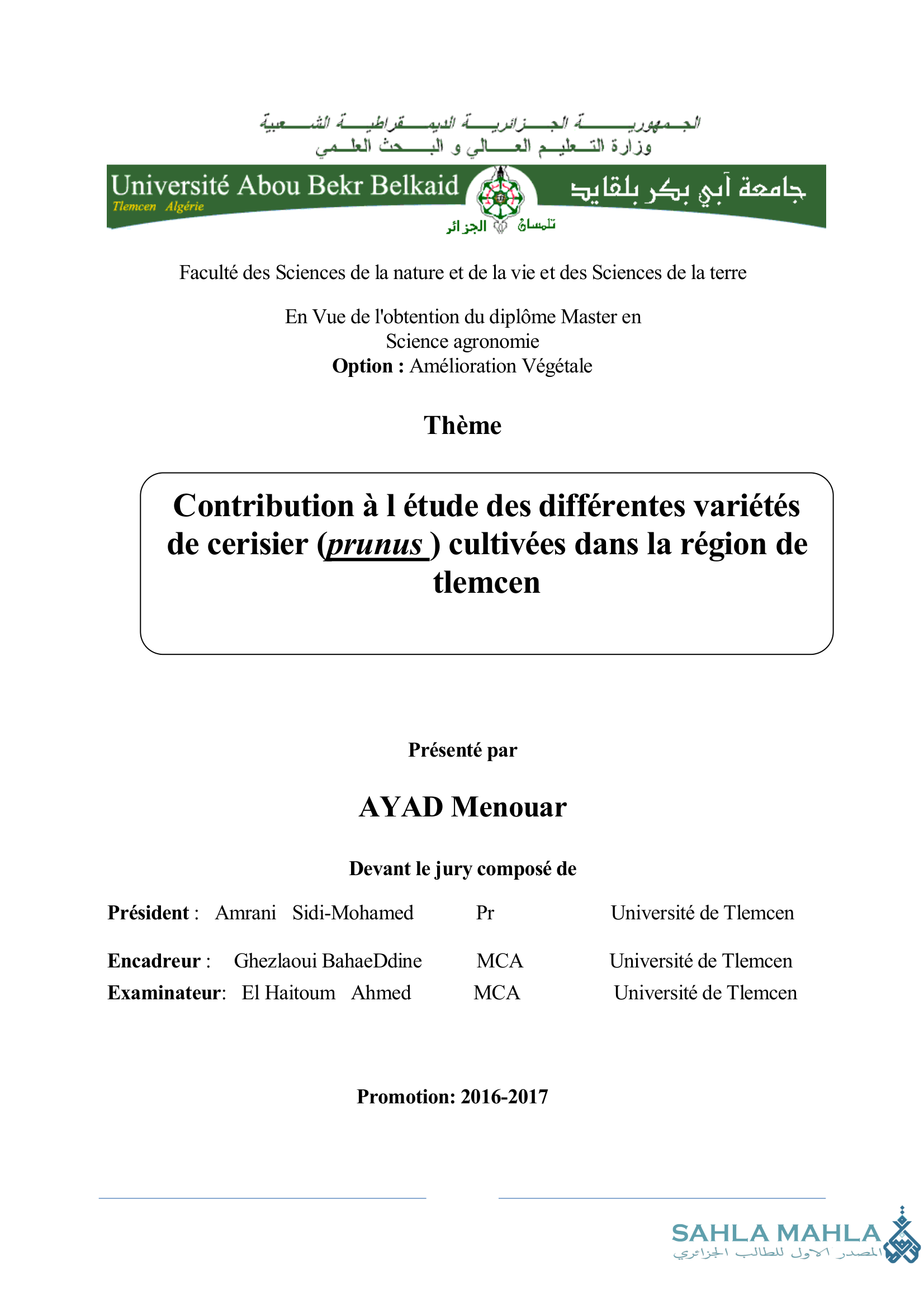 Contribution à l étude des différentes variétés de cerisier (prunus ) cultivées dans la région de tlemcen