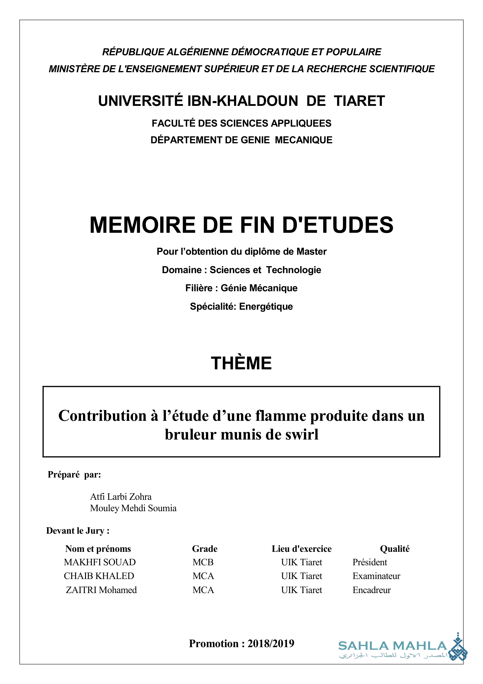 Contribution à l'étude d'une flamme produite dans un bruleur munis de swirl