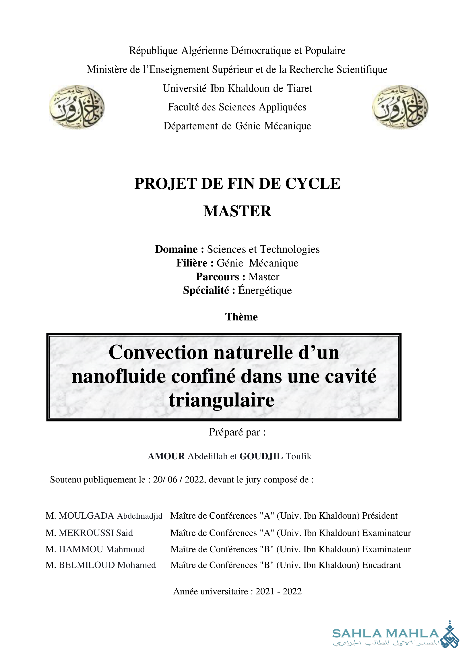 Convection naturelle d'un nanofluide confiné dans une cavité triangulaire