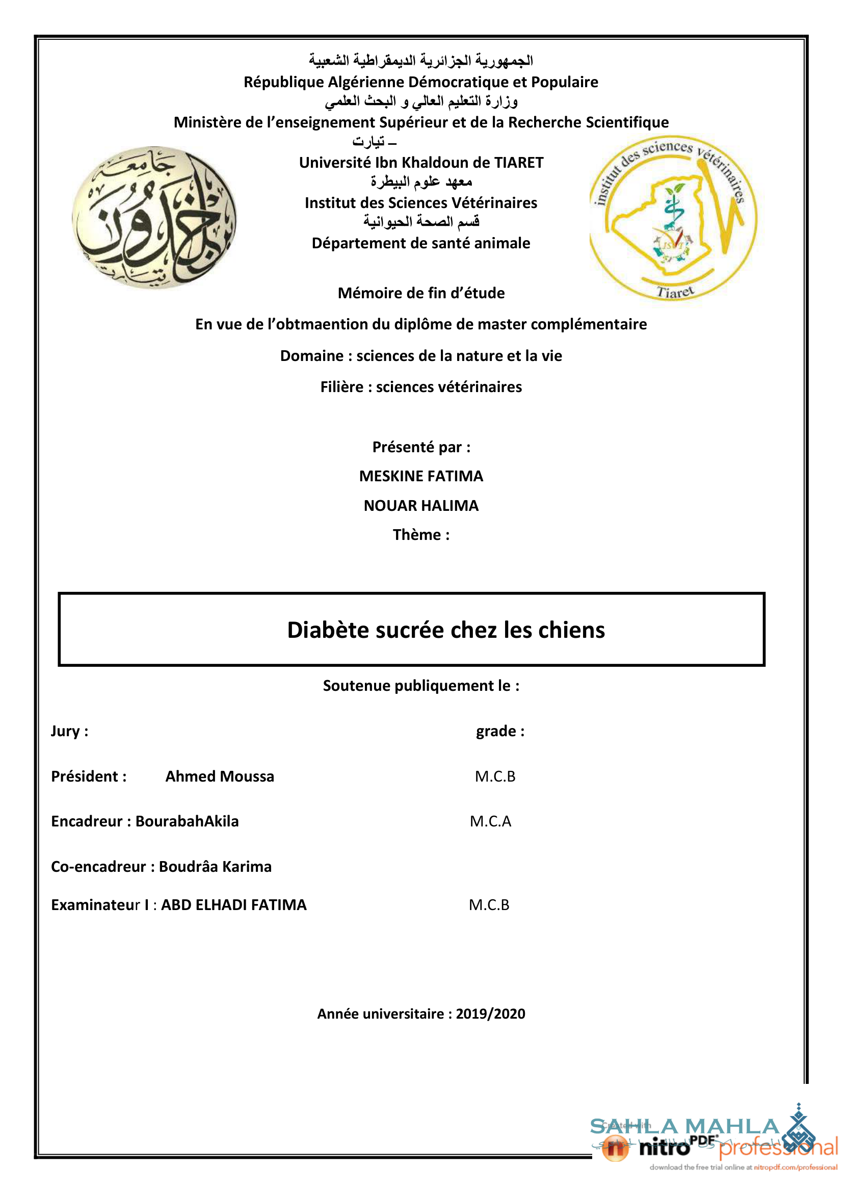 Diabète sucrée chez les chiens
