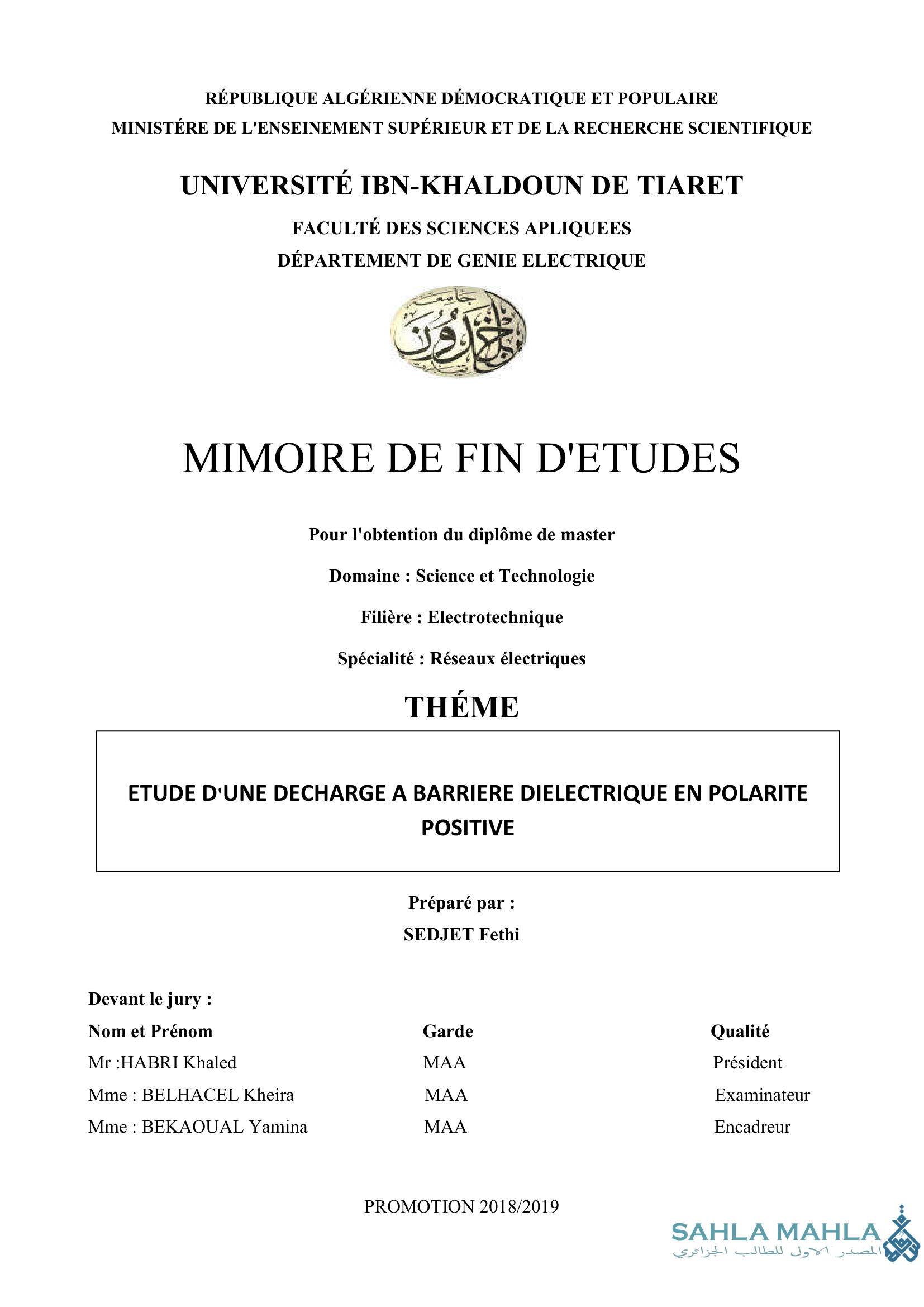 ETUDE D'UNE DECHARGE A BARRIERE DIELECTRIQUE EN POLARITE POSITIVE