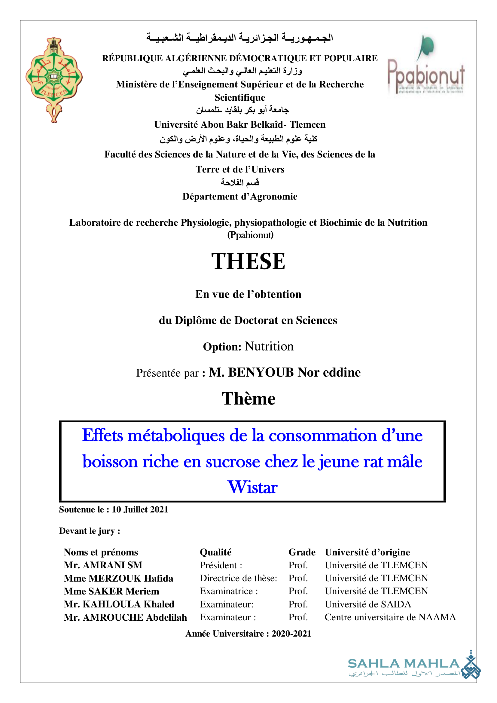 Effets métaboliques de la consommation d'une boisson riche en sucrose chez le jeune rat mâle Wistar