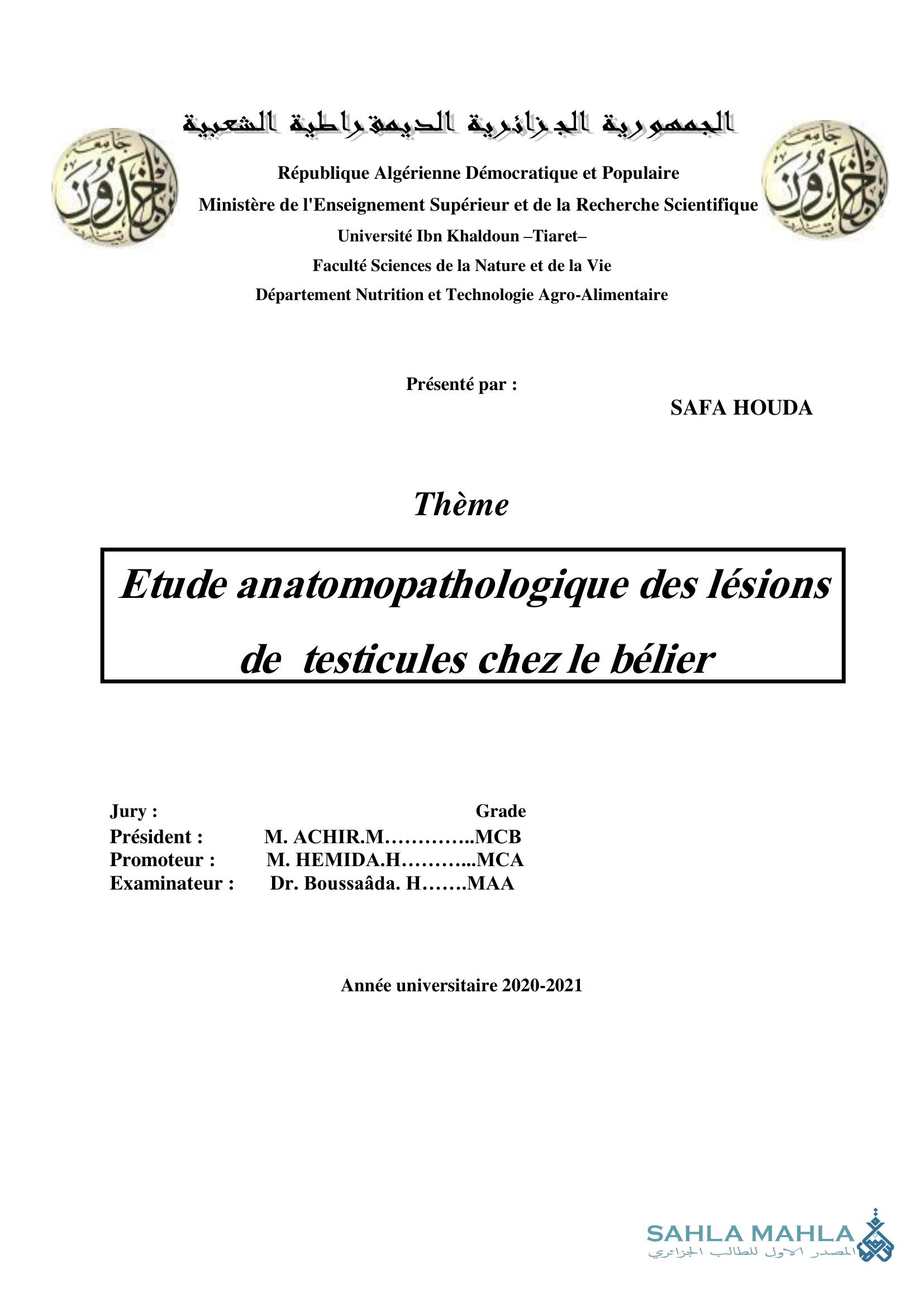 Etude anatomopathologique des lésions de testicules chez le bélier