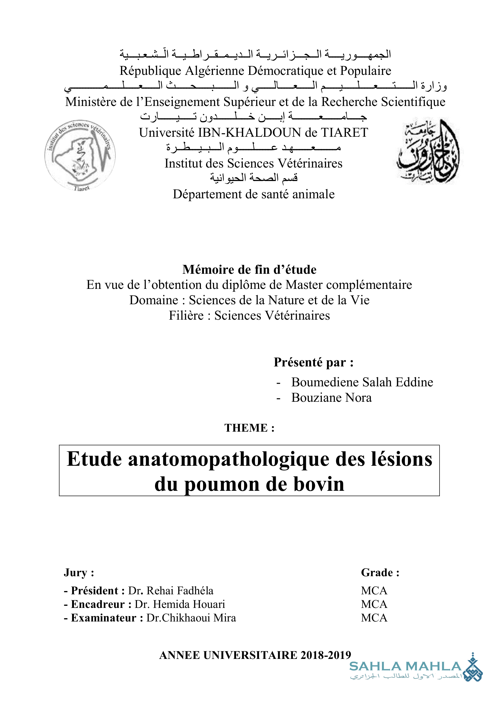 Etude anatomopathologique des lésions du poumon de bovin