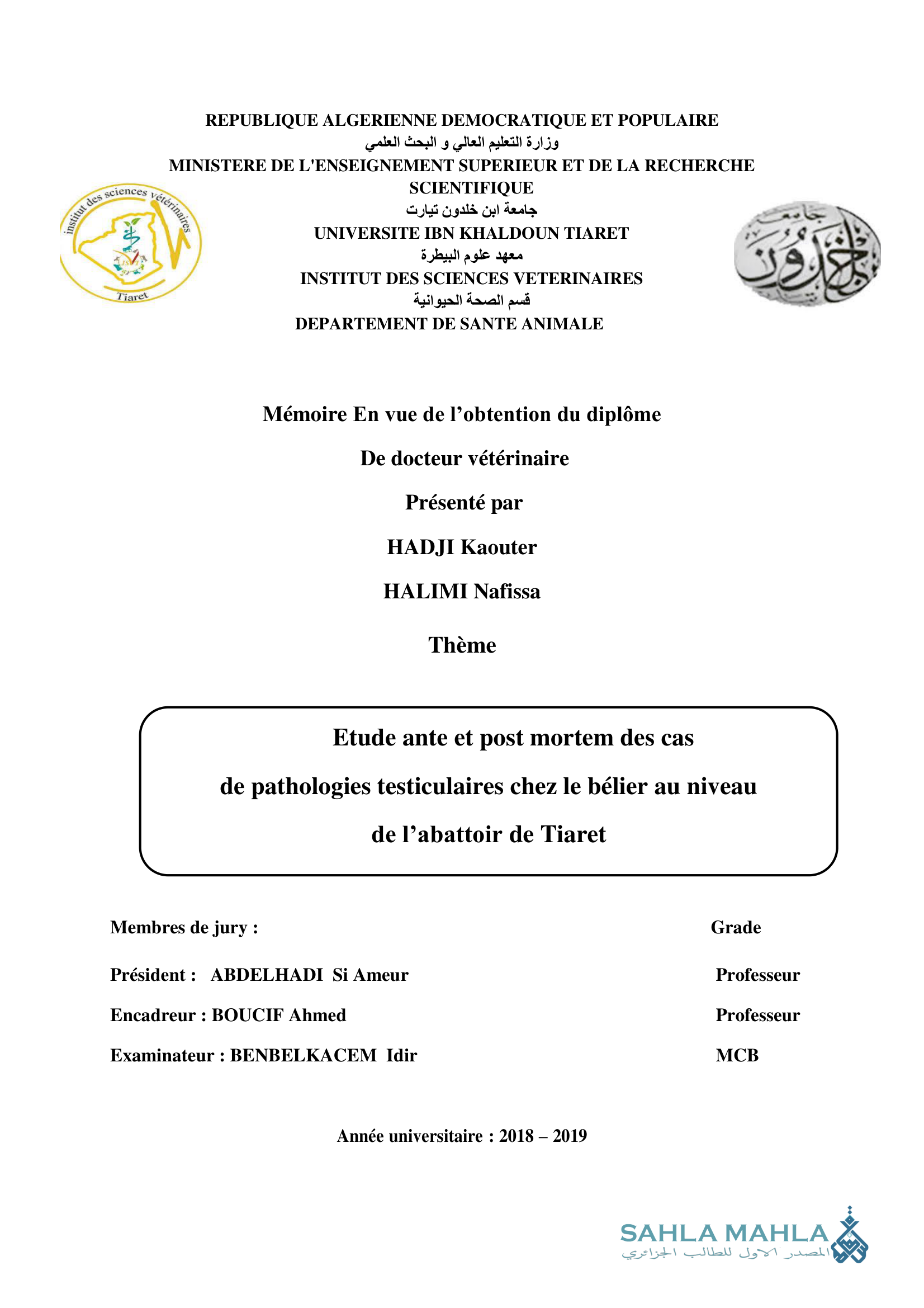 Etude ante et post mortem des cas de pathologies testiculaires chez le bélier au niveau de l'abattoir de Tiaret