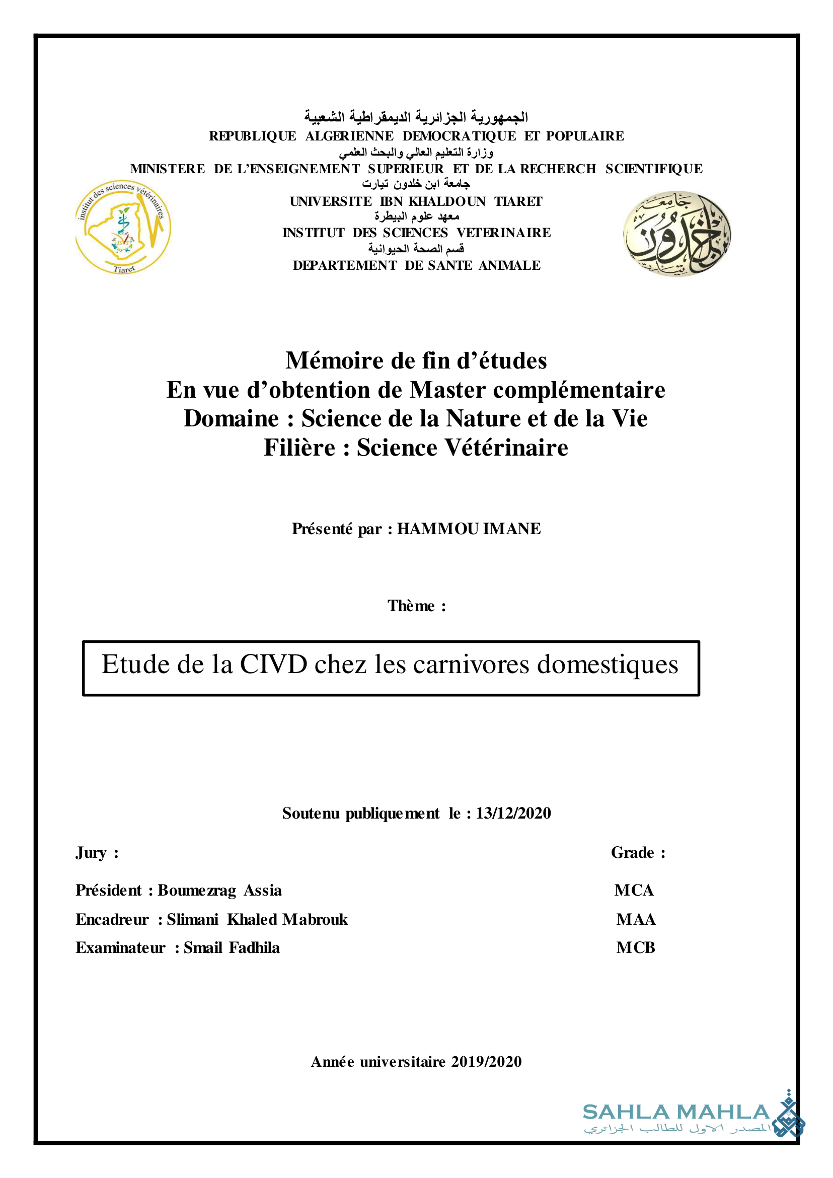 Etude de la CIVD chez les carnivores domestiques