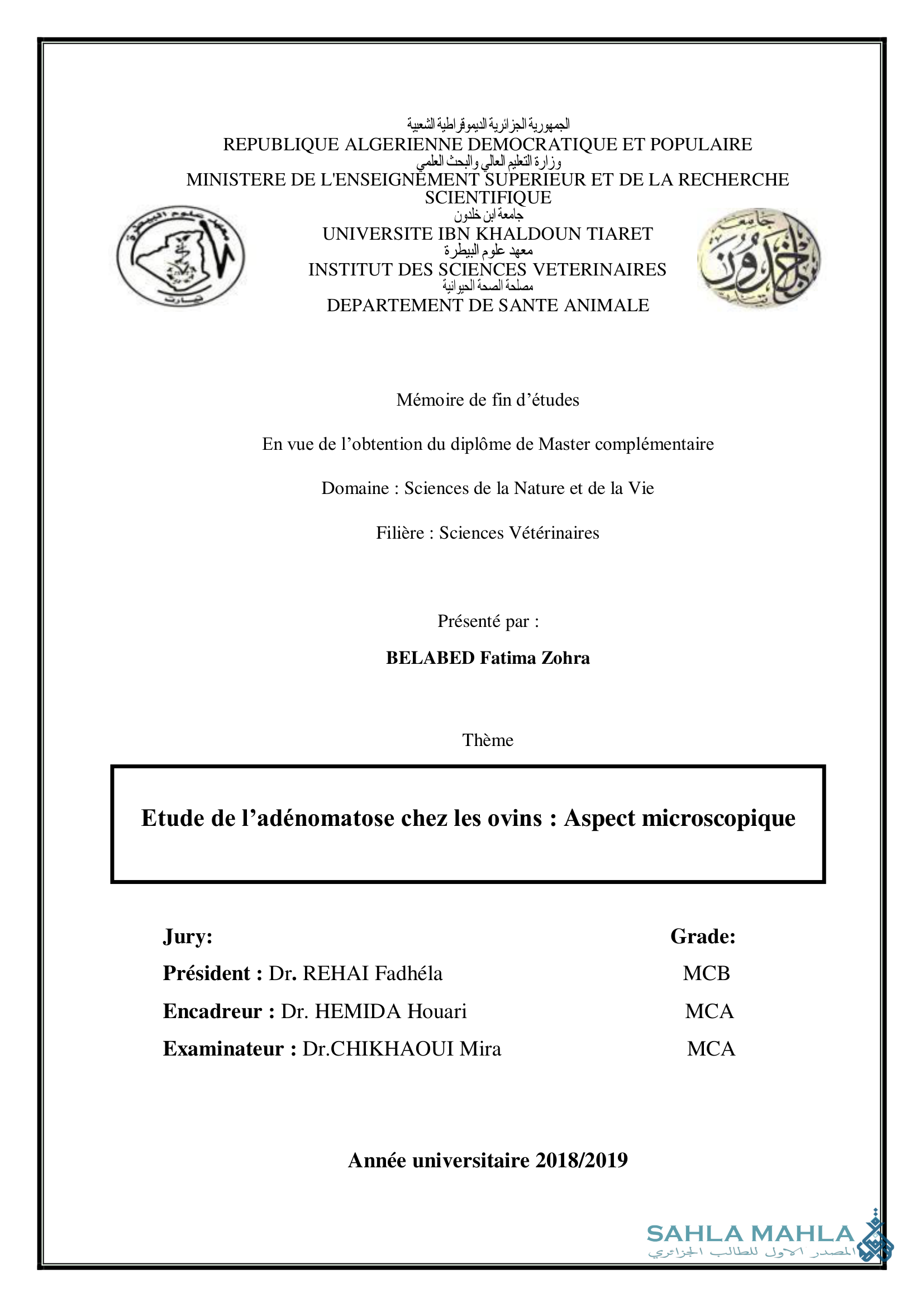 Etude de l'adénomatose chez les ovins: Aspect microscopique