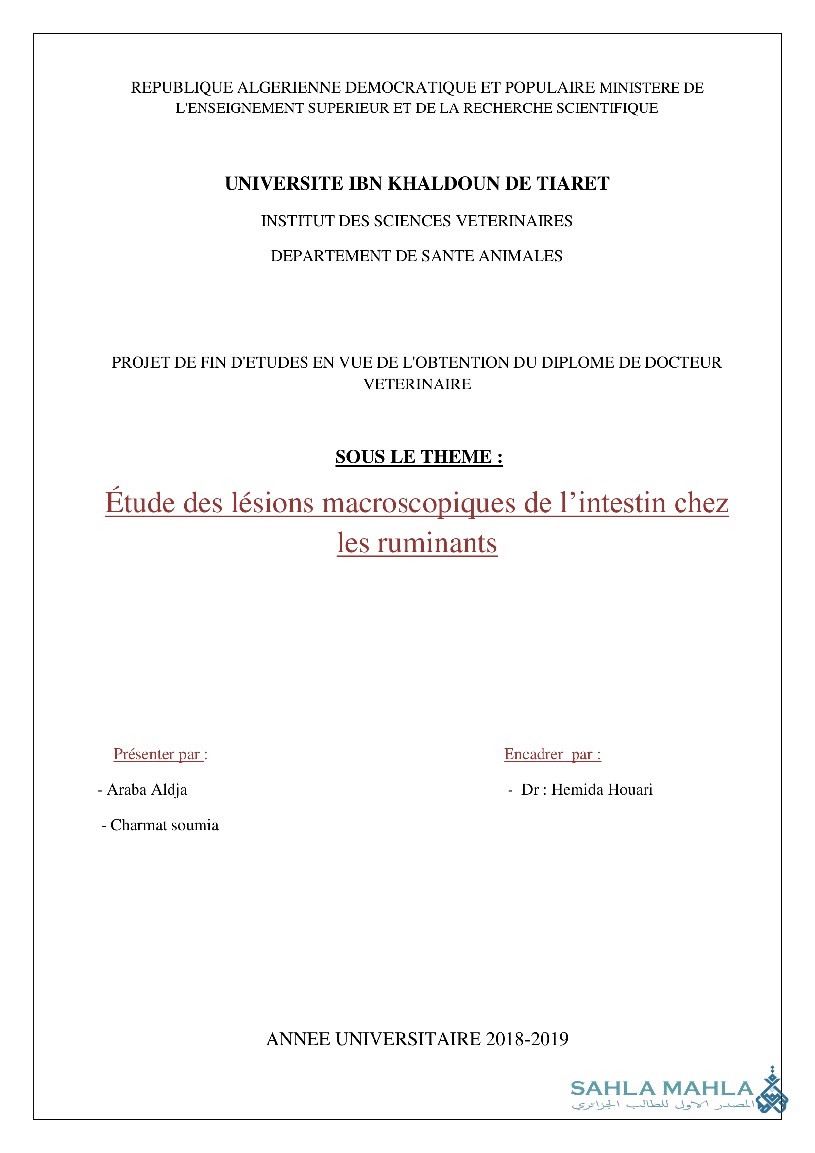 Étude des lésions macroscopiques de l'intestin chez les ruminants