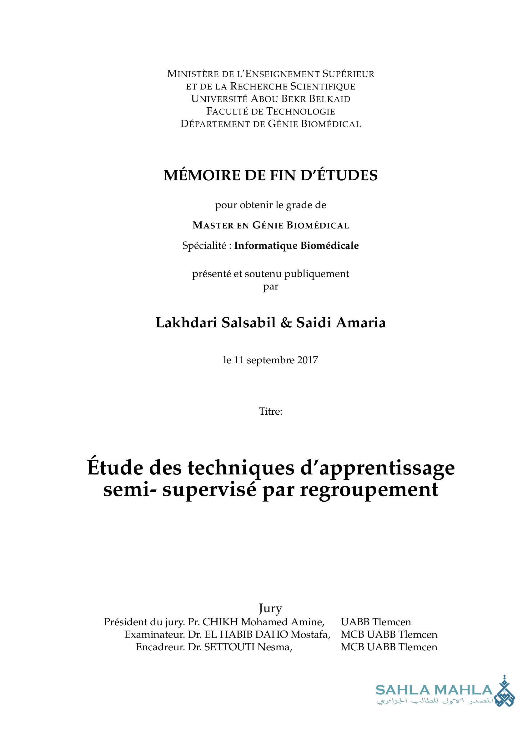 Étude des techniques d'apprentissage semi-supervisé par regroupement