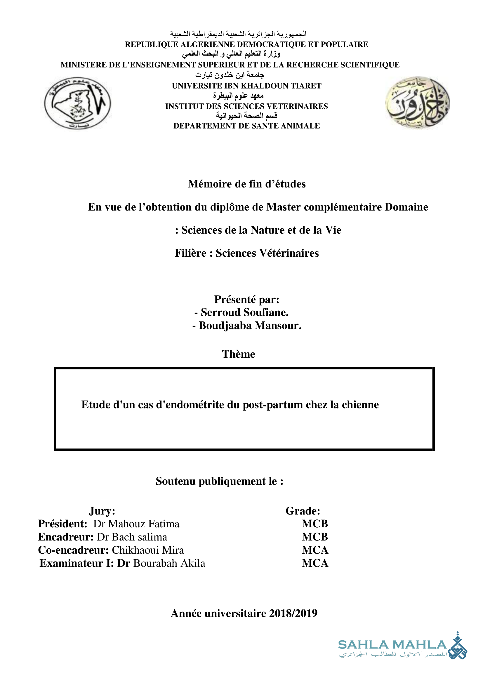 Etude d'un cas d'endométrite du post-partum chez la chienne