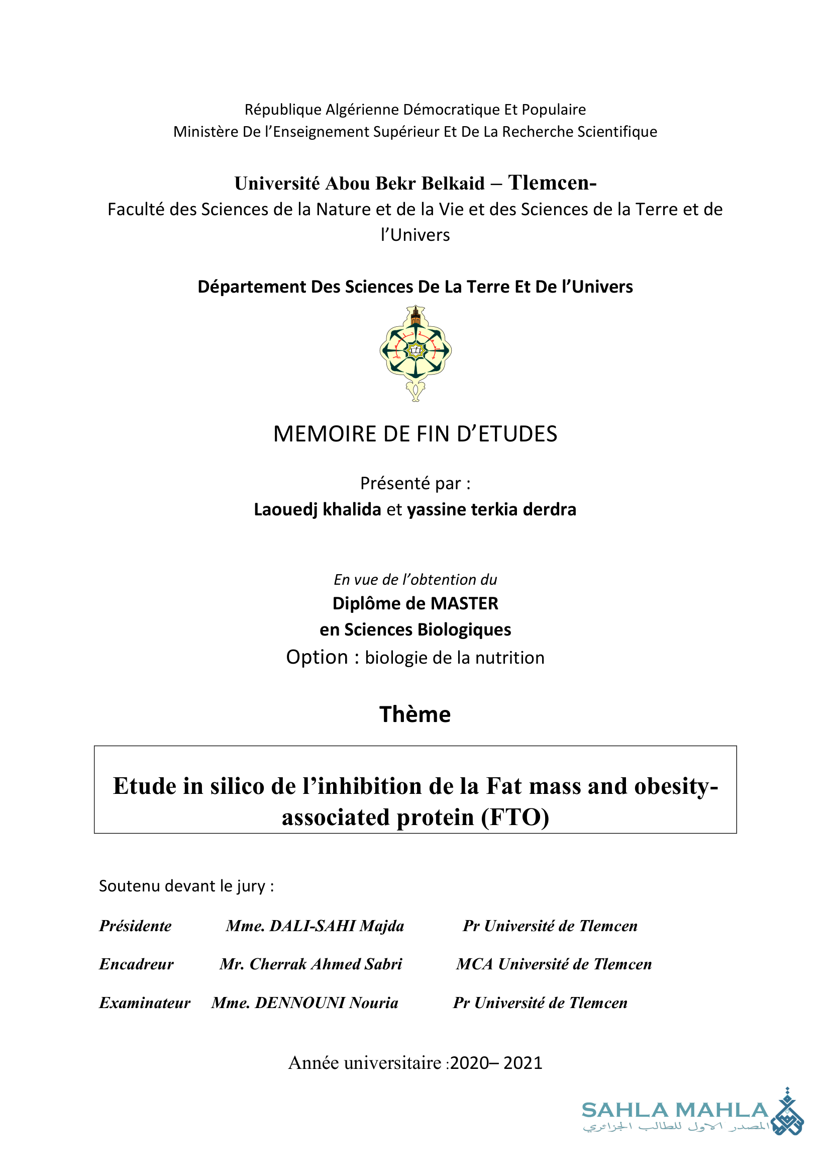 Etude in silico de l'inhibition de la Fat mass and obesity-associated protein (FTO)