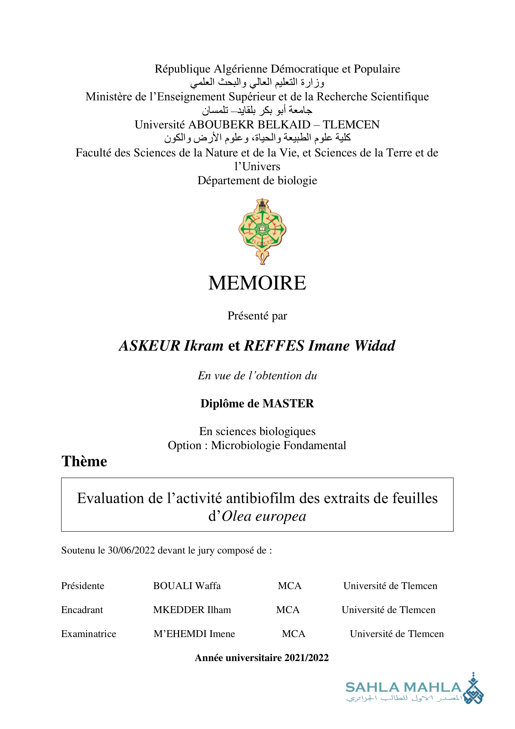 Evaluation de l'activité antibiofilm des extraits de feuilles d'Olea europea