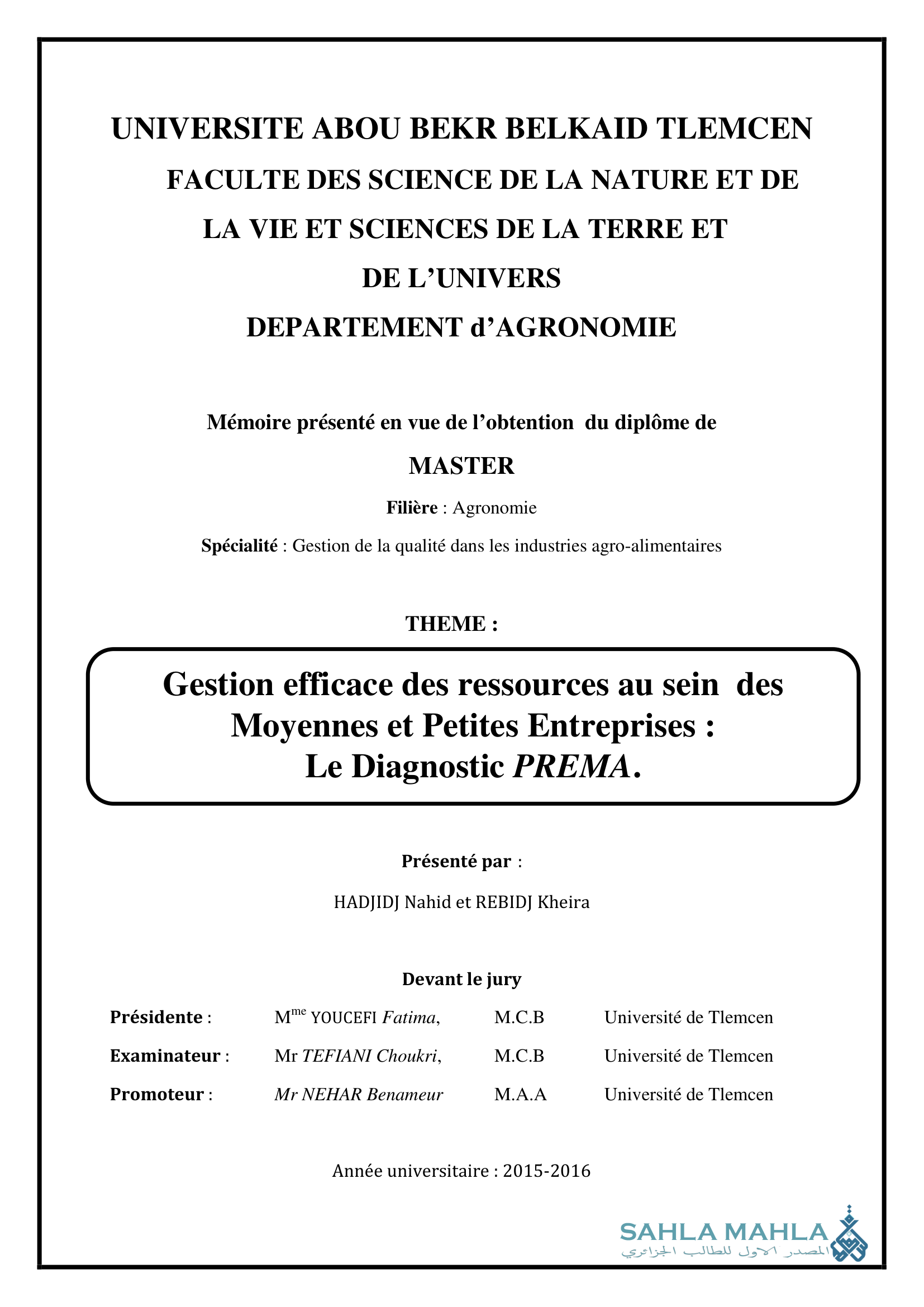 Gestion efficace des ressources au sein des Moyennes et Petites Entreprises : Le Diagnostic PREMA.