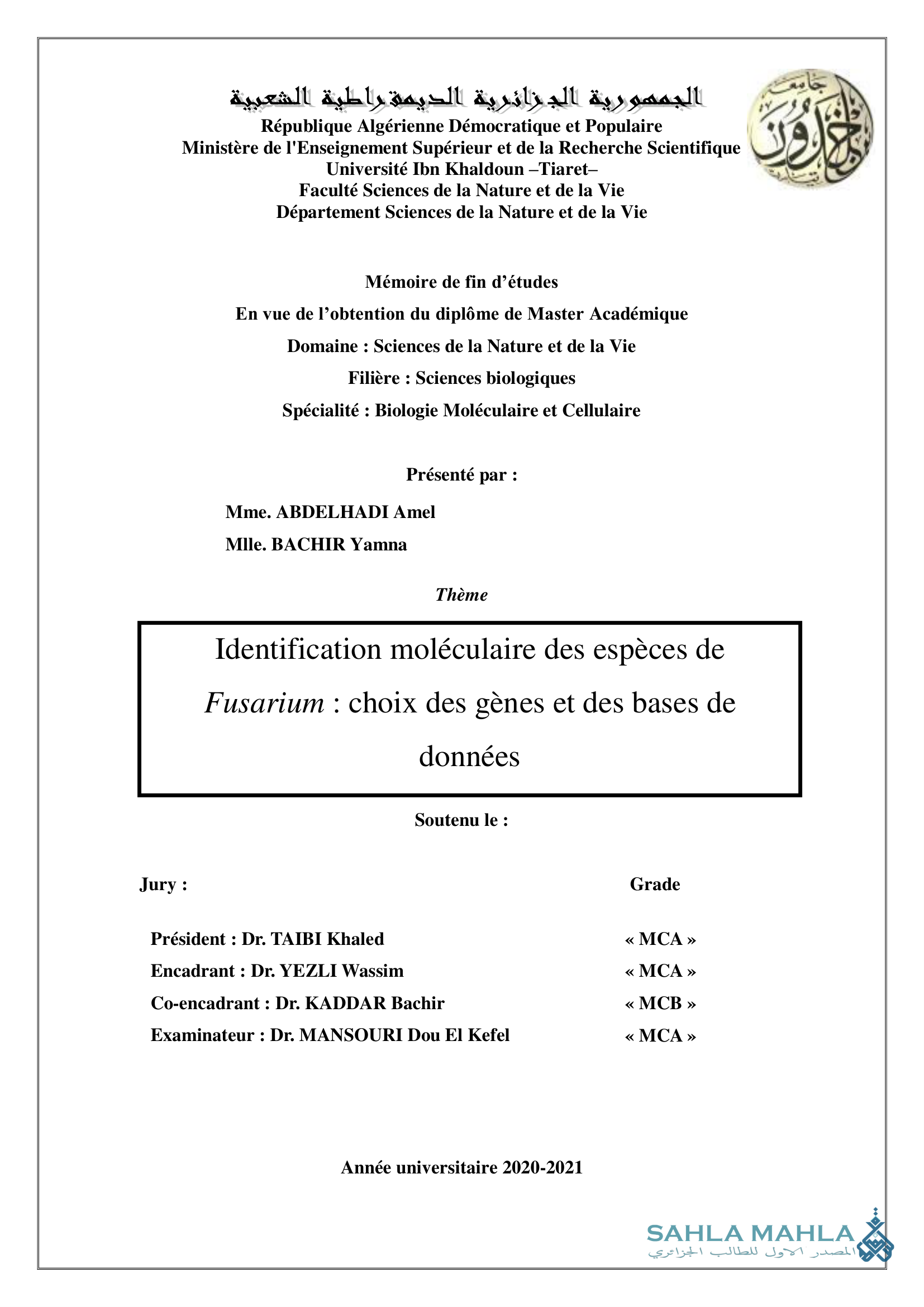 Identification moléculaire des espèces de Fusarium: choix des gènes et des bases de données