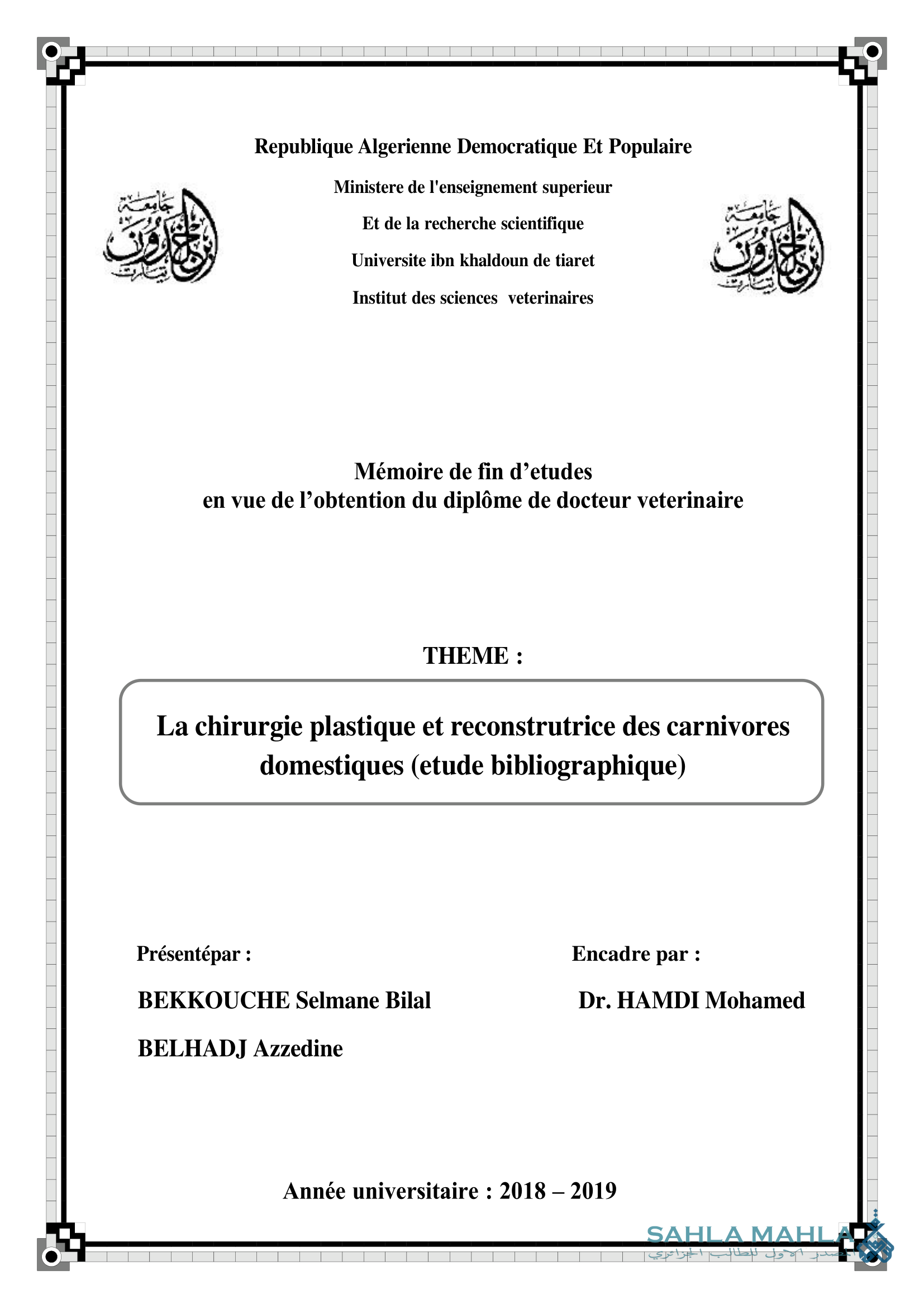 La chirurgie plastique et reconstrutrice des carnivores domestiques (etude bibliographique)