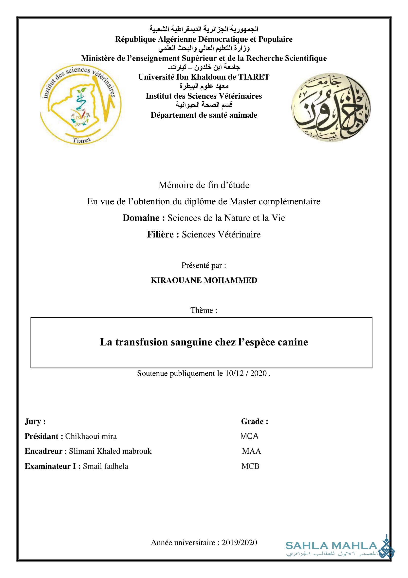 La transfusion sanguine chez l'espèce canine