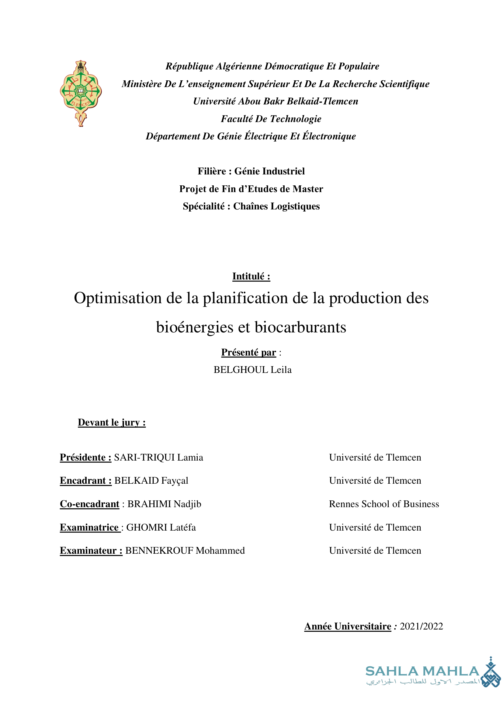 Optimisation de la planification de la production des bioénergies et biocarburants