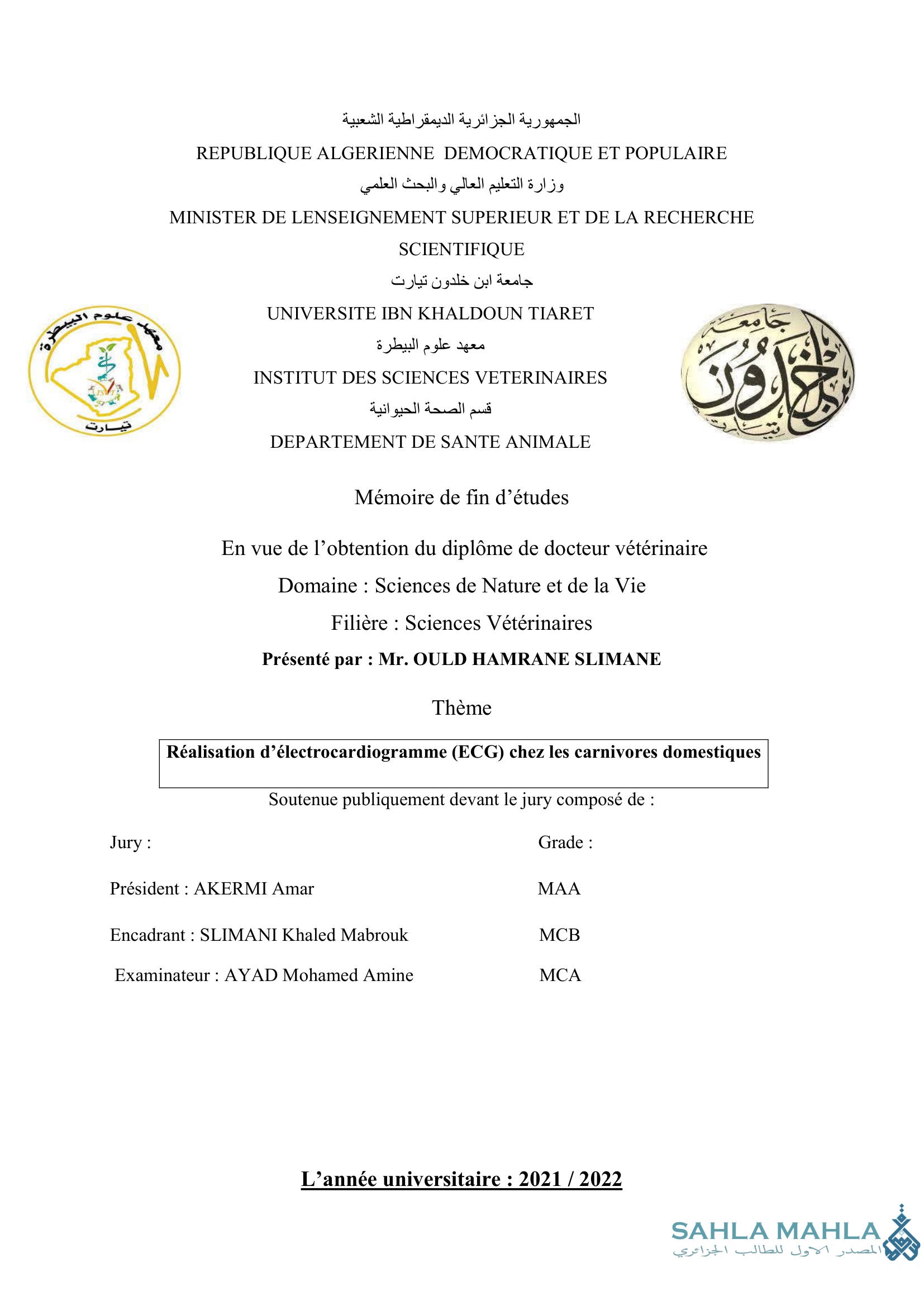 Réalisation d'électrocardiogramme (ECG) chez les carnivores domestiques