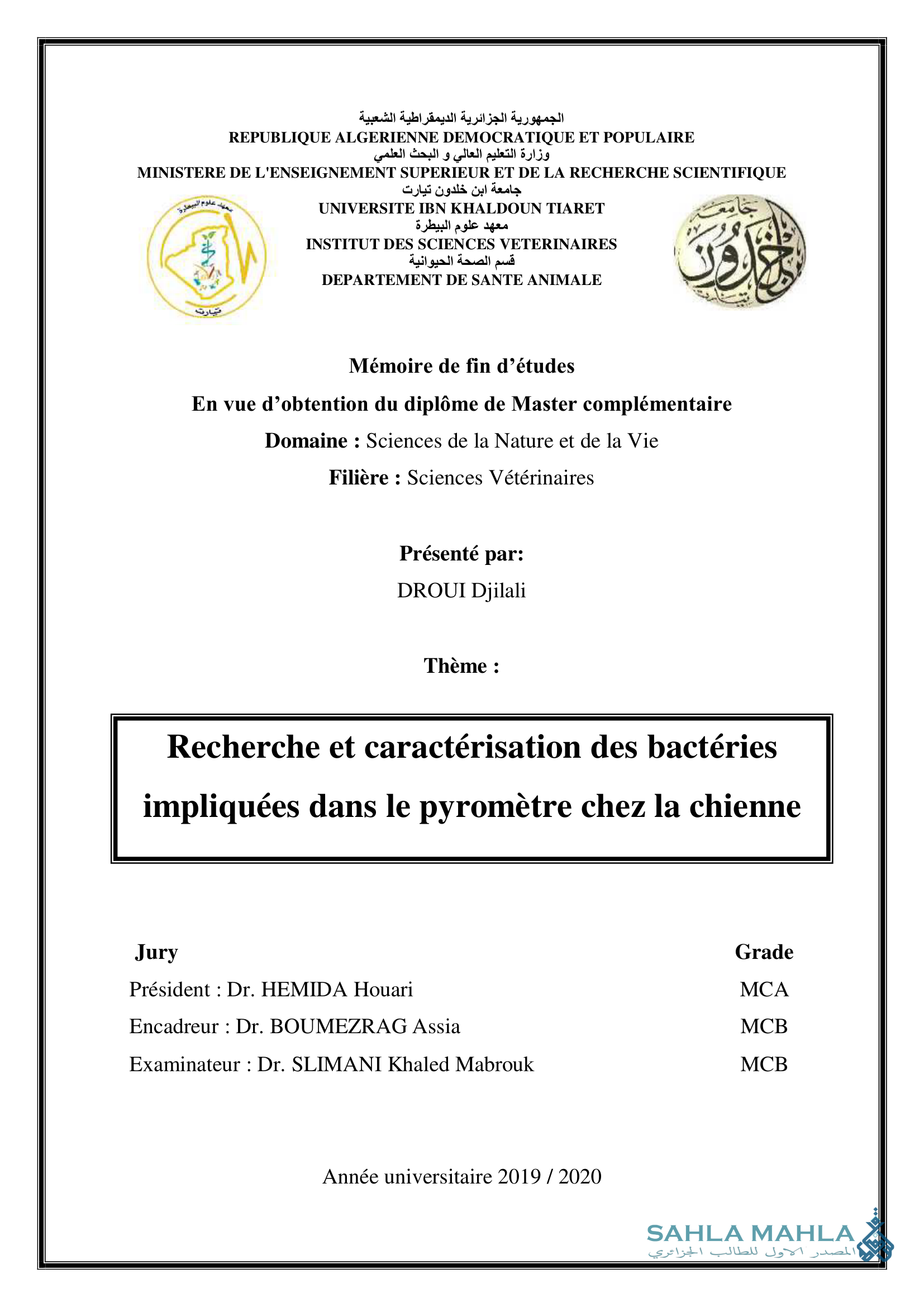 Recherche et caractérisation des bactéries impliquées dans le pyromètre chez la chienne