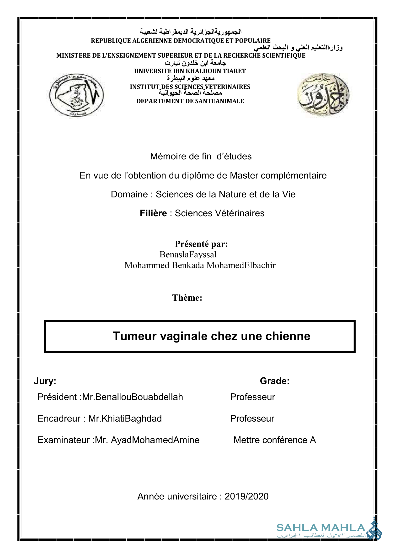 Tumeur vaginale chez une chienne