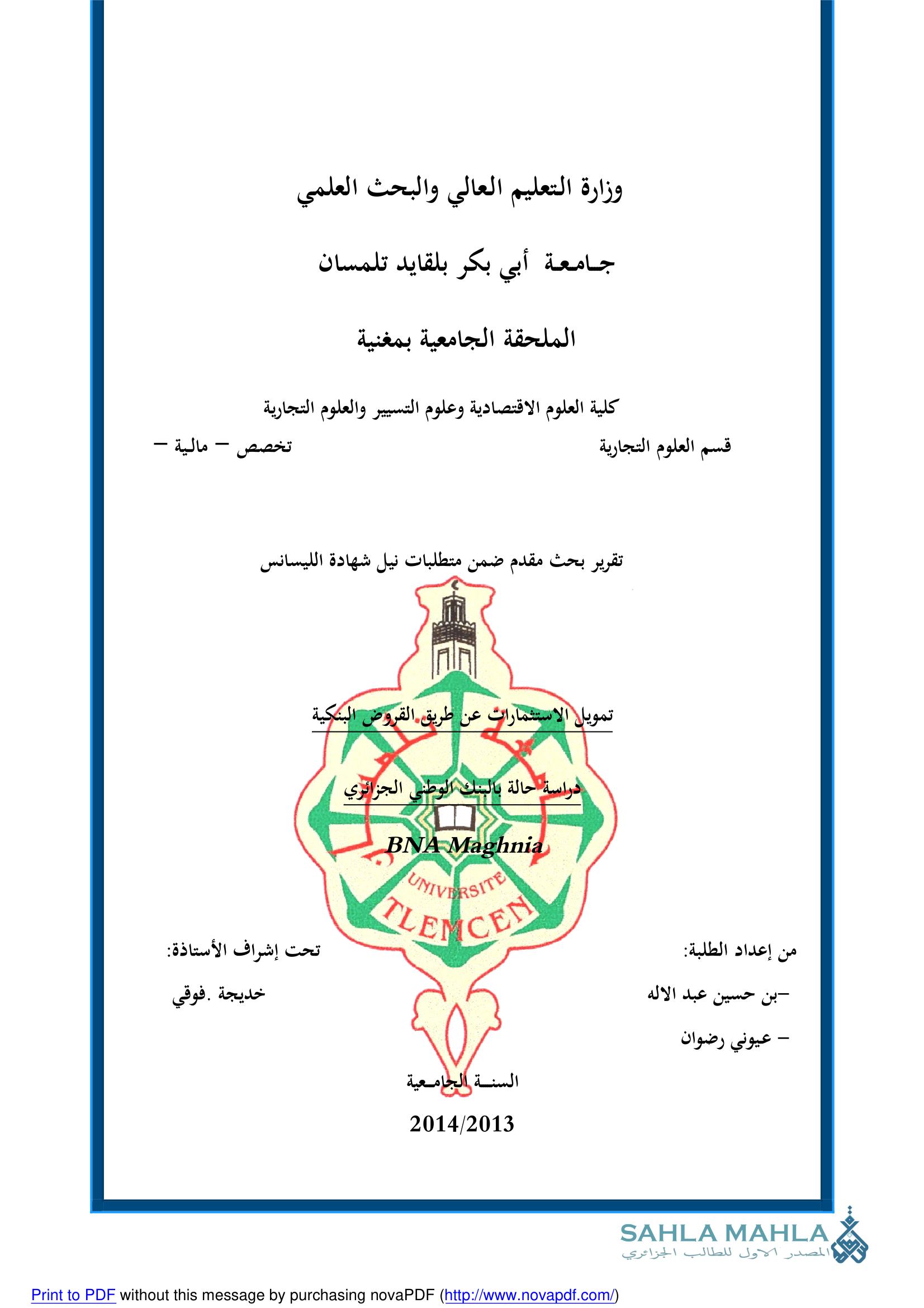 تمويل الاستثمارات عن طريق القروض ا