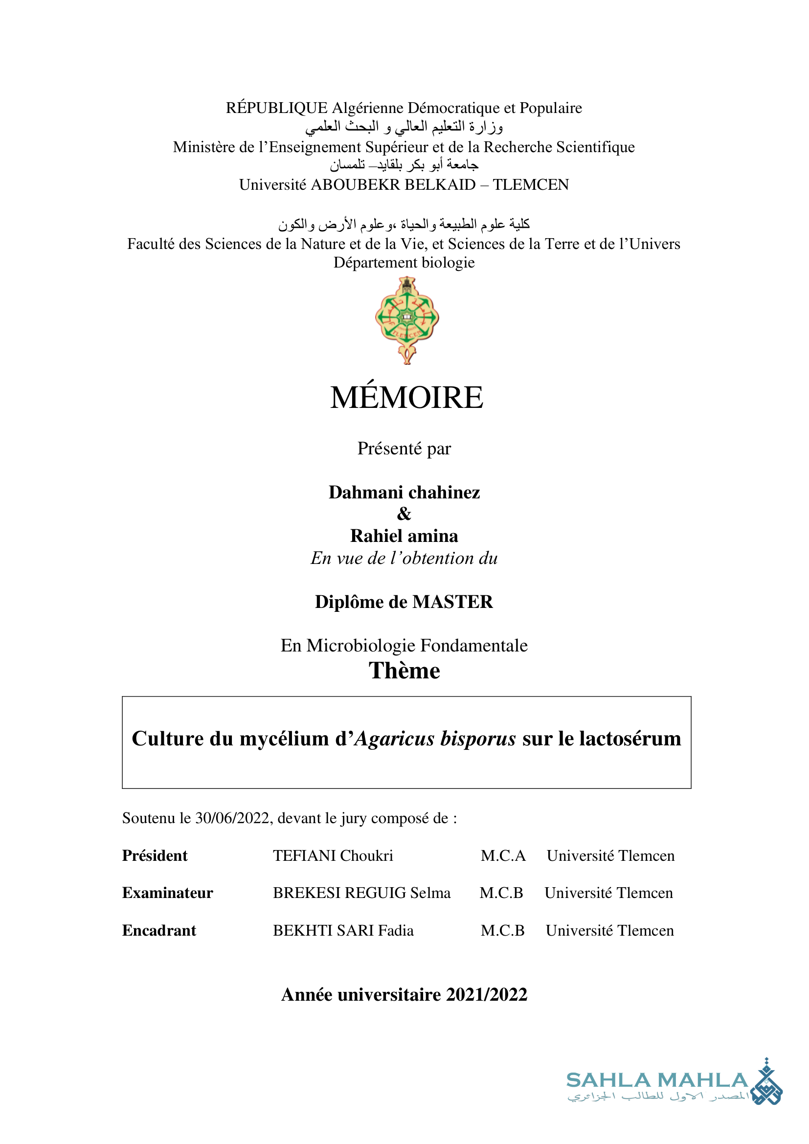 Culture du mycélium d'Agaricus bisporus sur le lactosérum