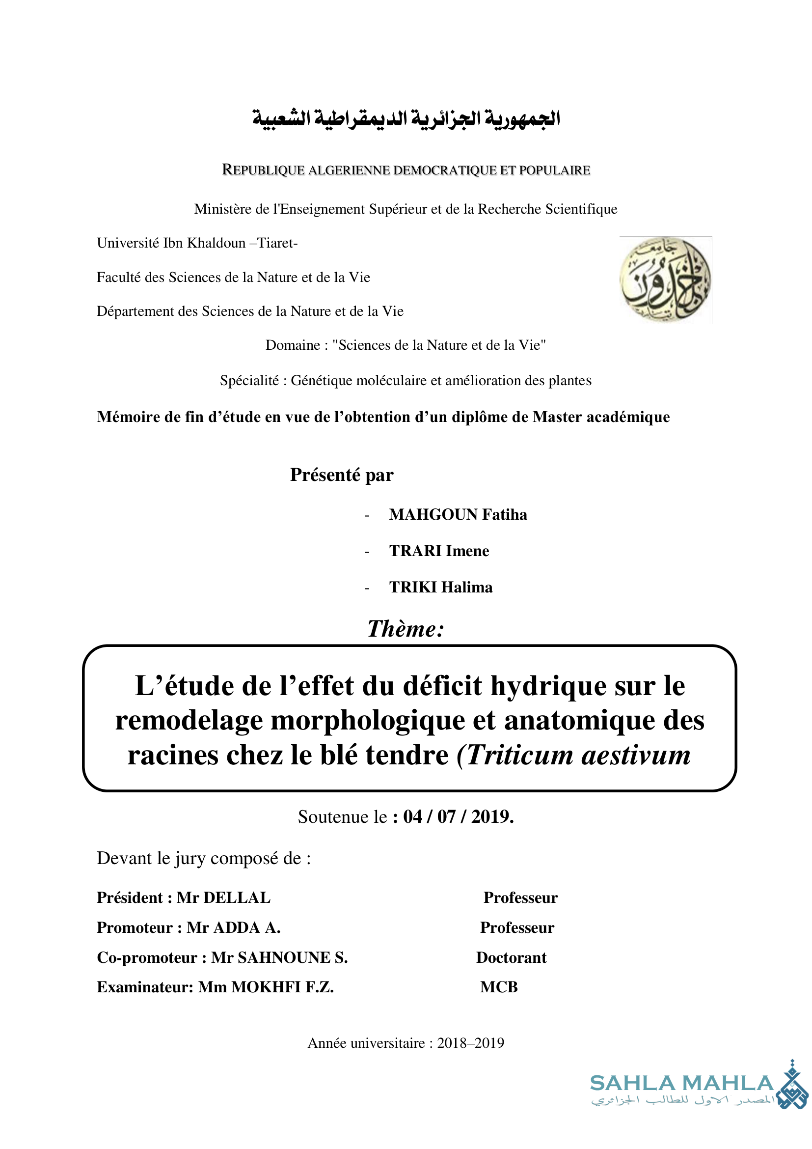 L'étude de l'effet du déficit hydrique sur le remodelage morphologique et anatomique des racines chez le blé tendre (Triticum aestivum