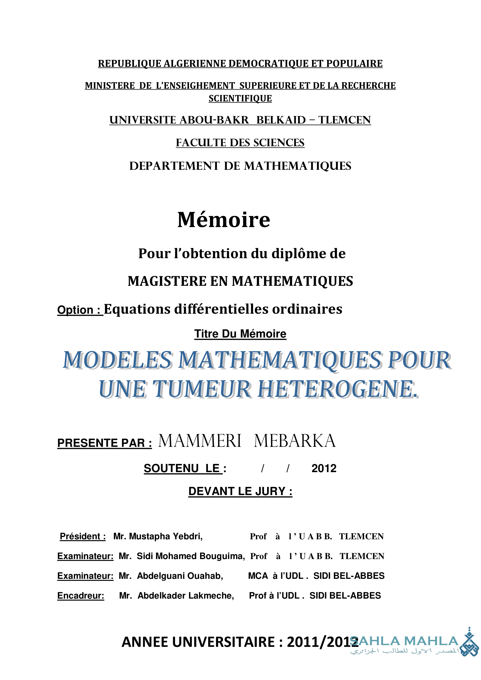 MODELES MATHEMATIQUES POUR UNE TUMEUR HETEROGENE.