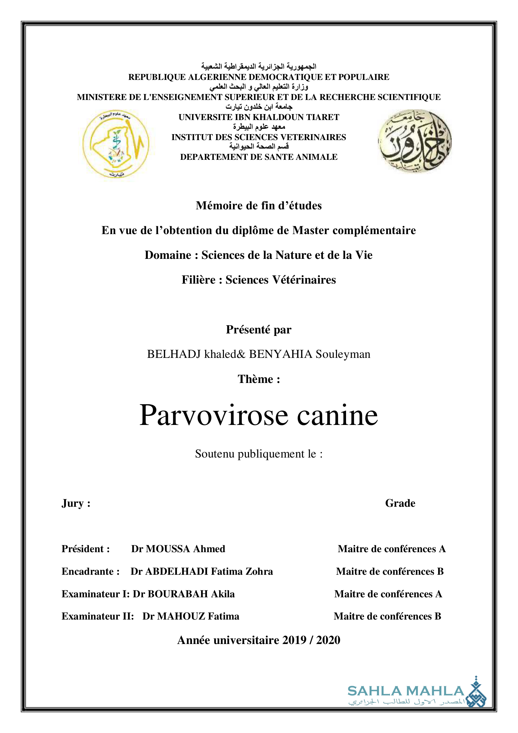 Parvovirose canine